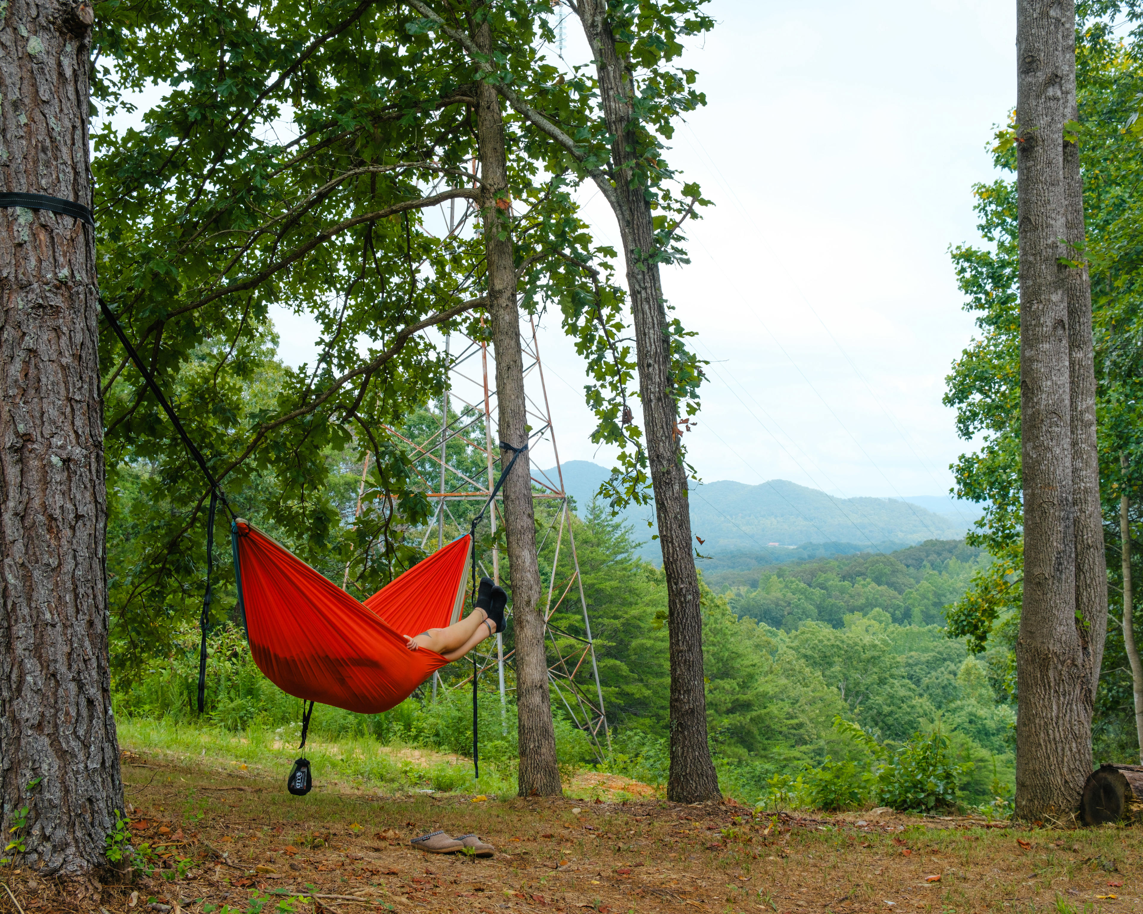 bring your hammock, there's lots of trees!