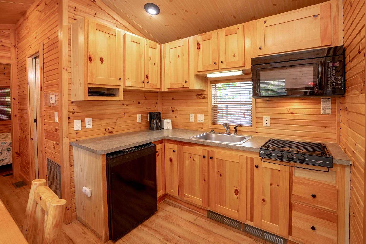 Deluxe Cabin Rental 1 Room