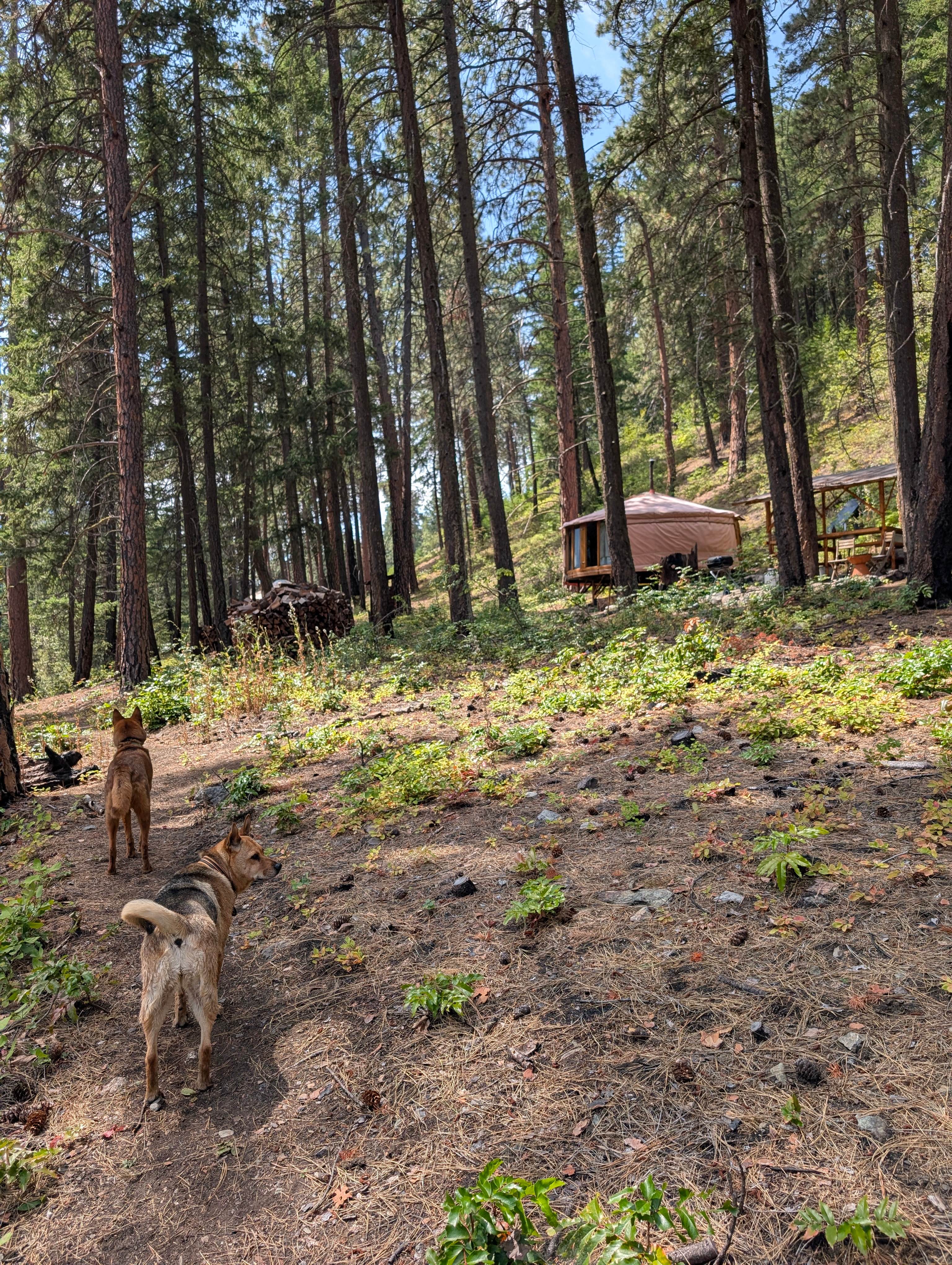 Lake Glamping with Beach and Sauna