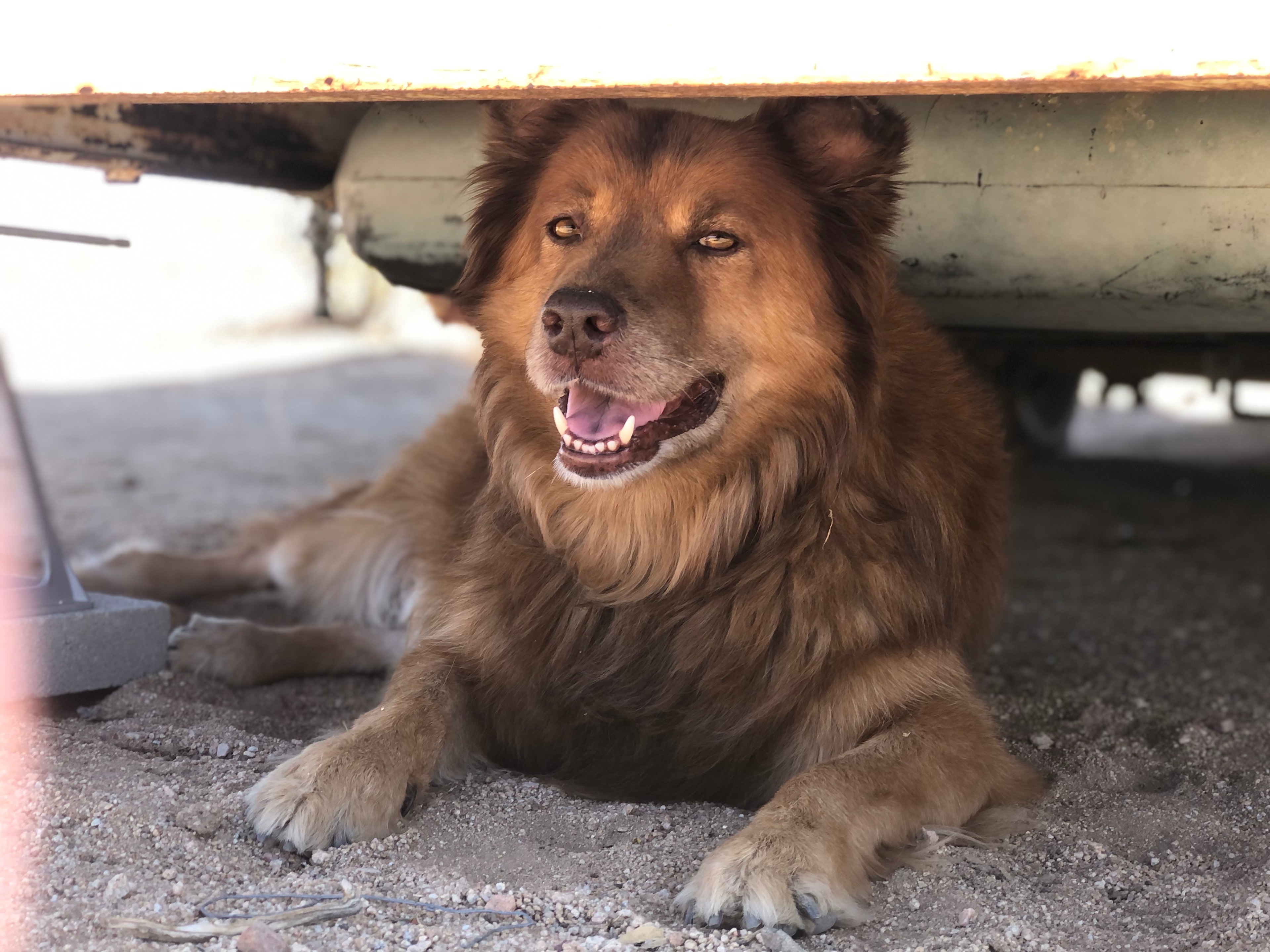 The Sunrise Sanctuary