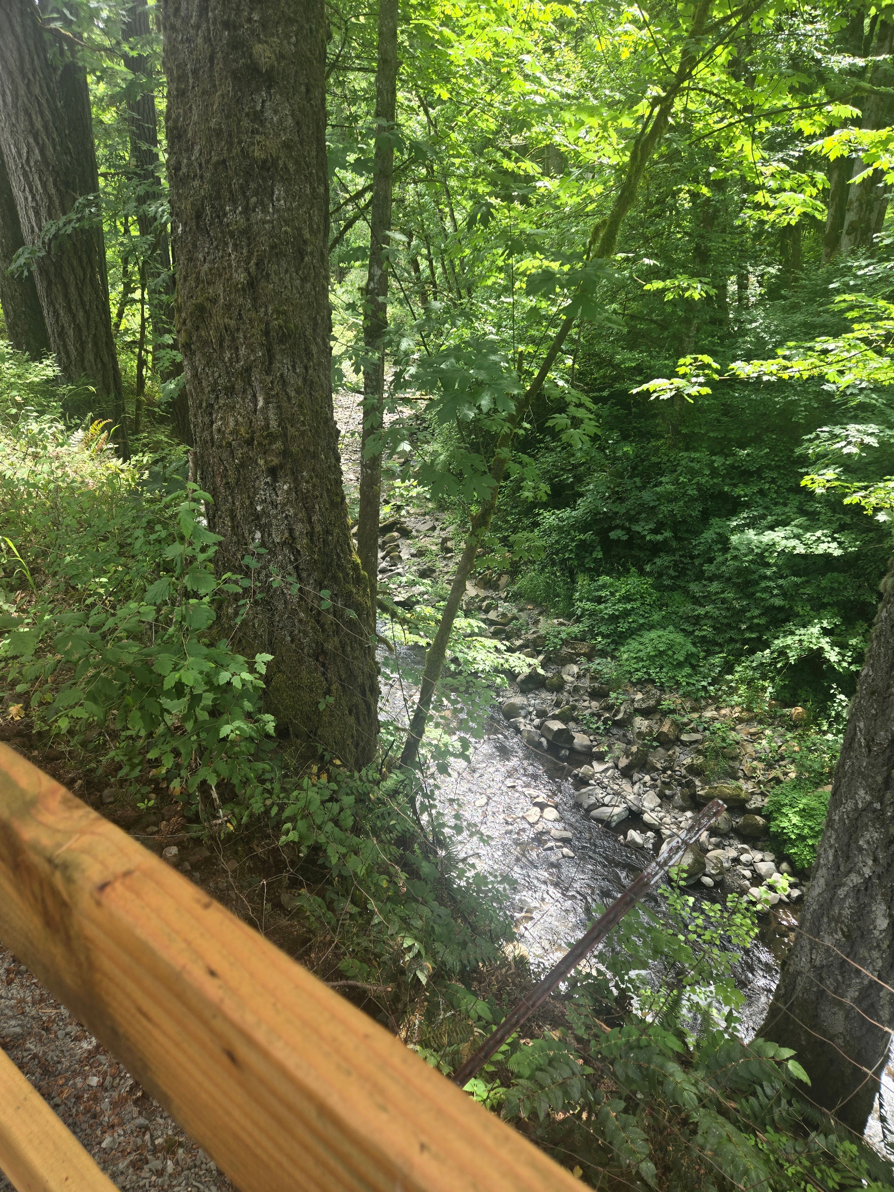 riverside r.v glamping