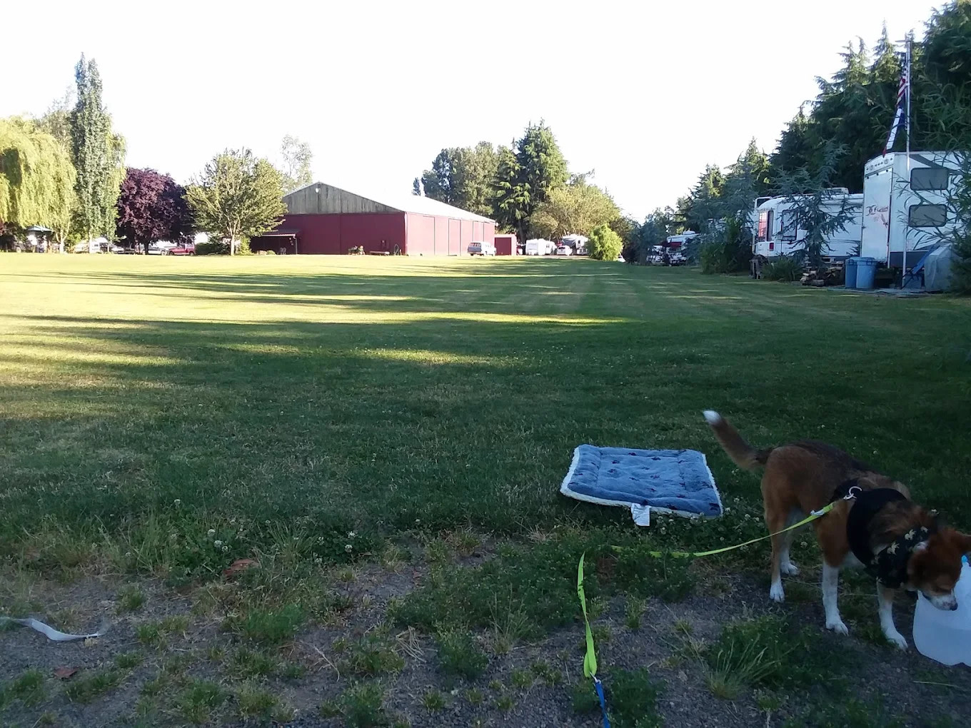 Island Cove RV Park