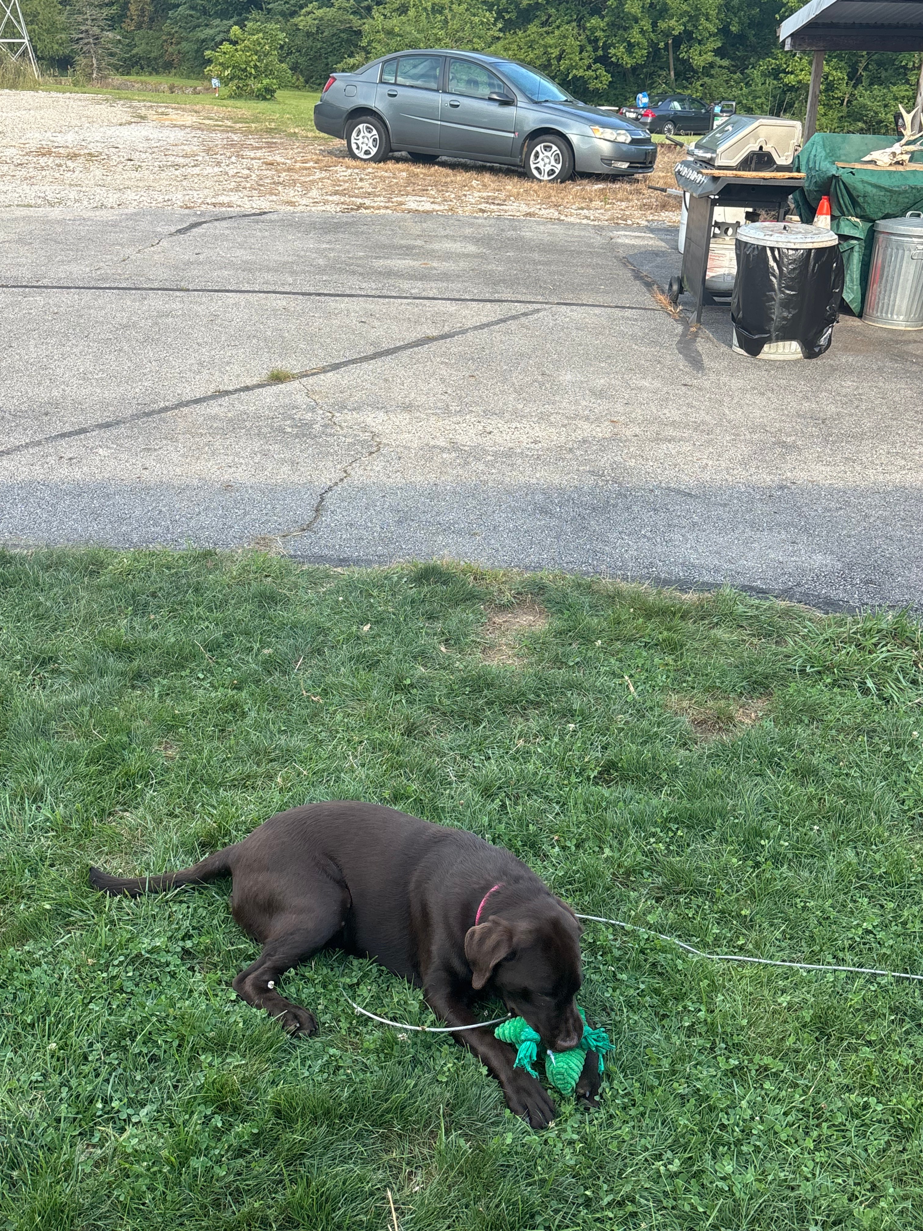 Little Darby Outdoors