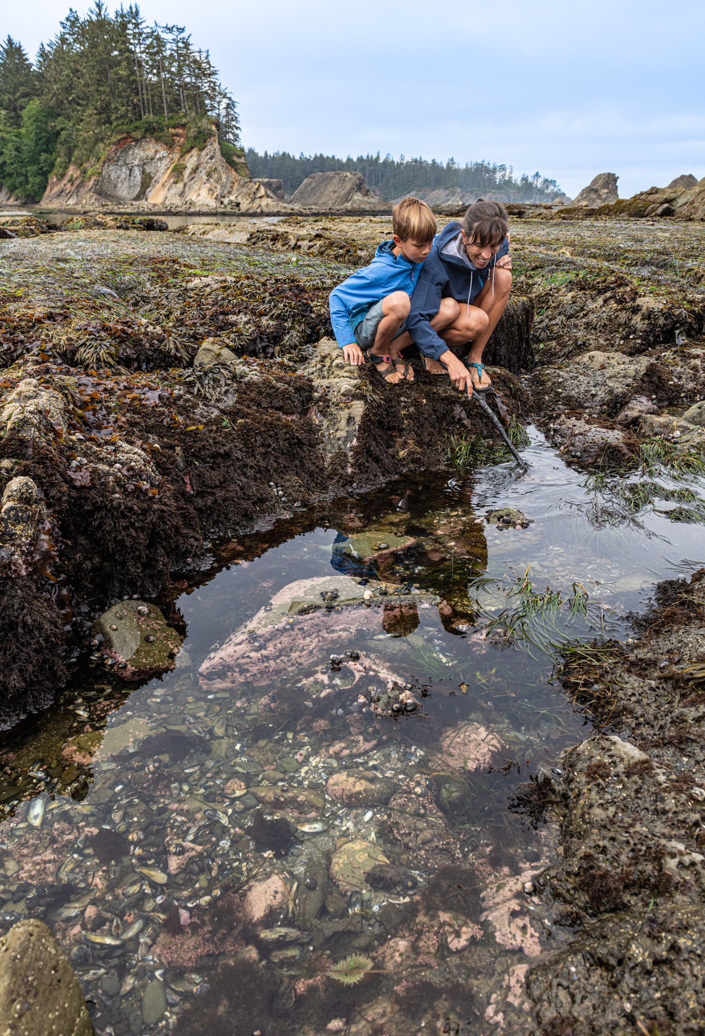 Morning Tide Pooling