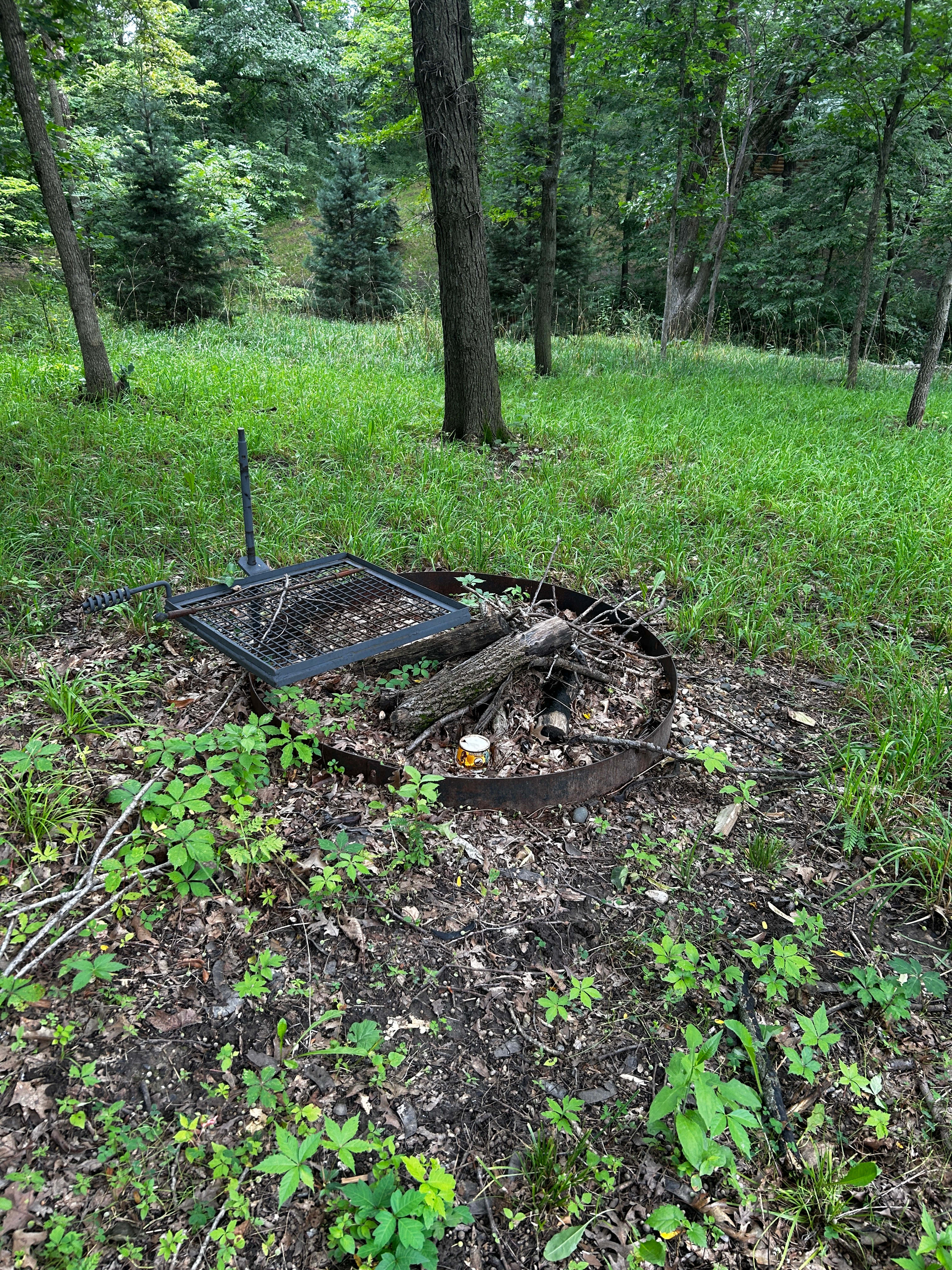 Fruits of Our Labor Vinyard