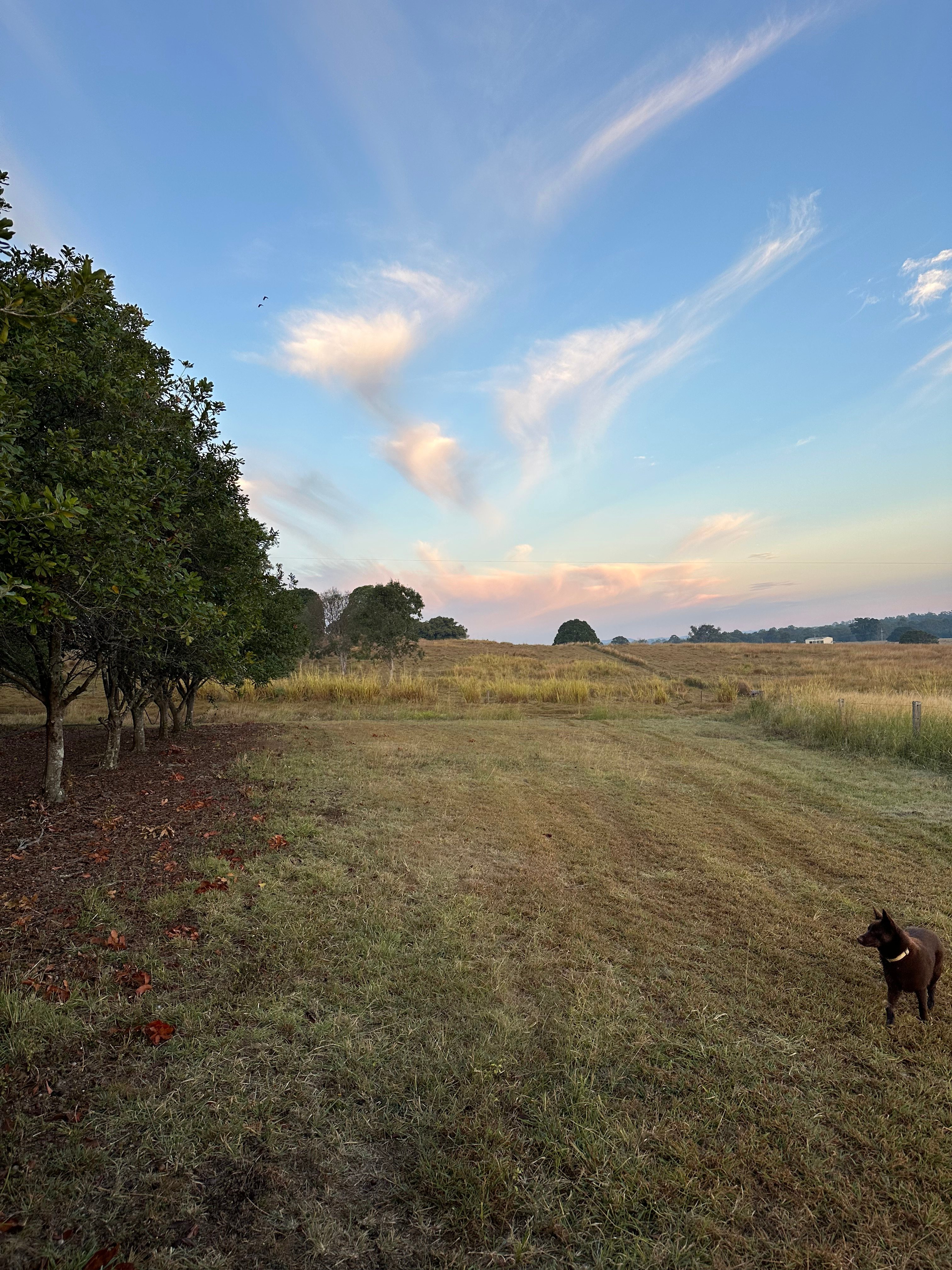 GlenEllen Farm