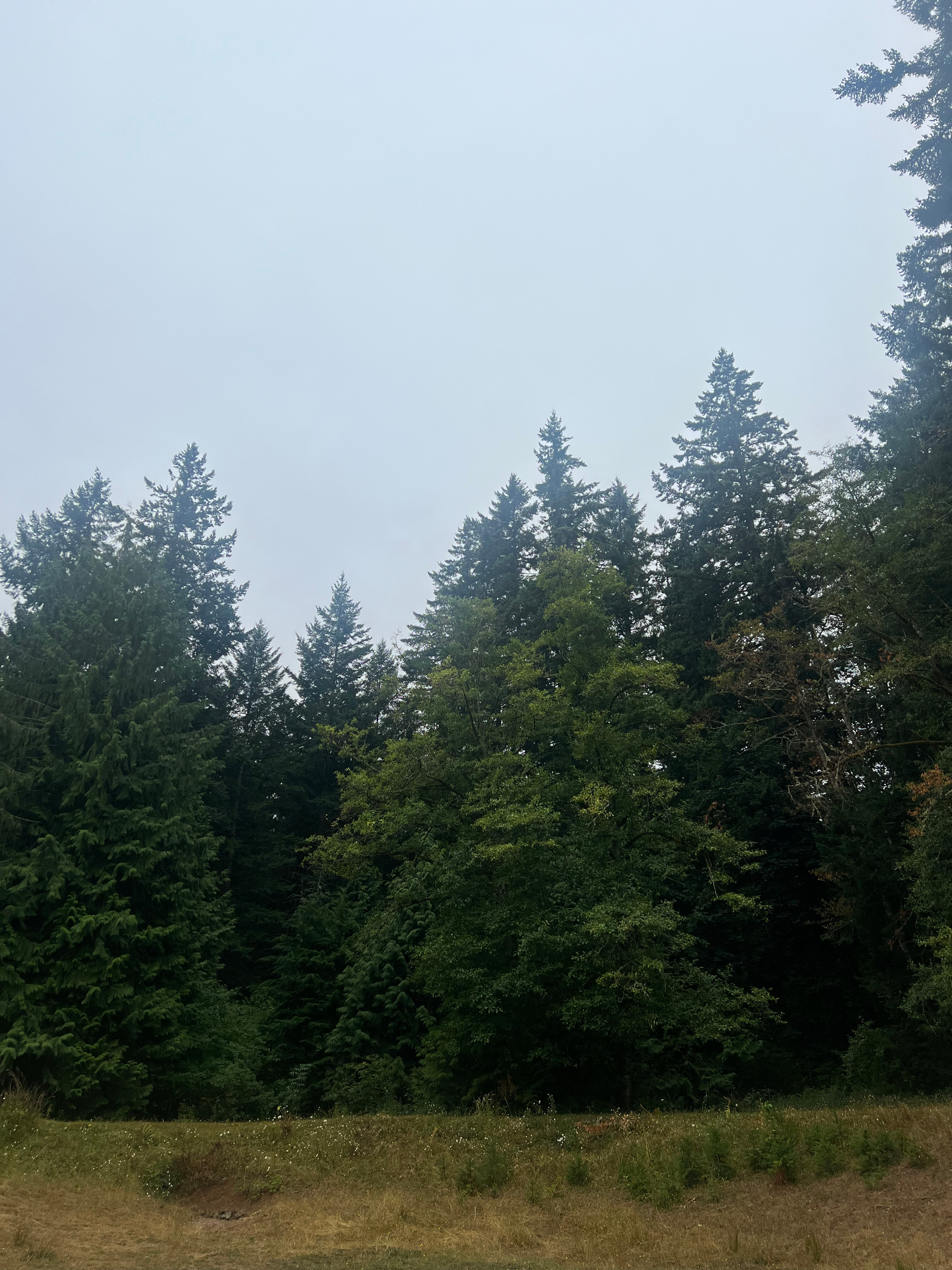 Cedar Hollow