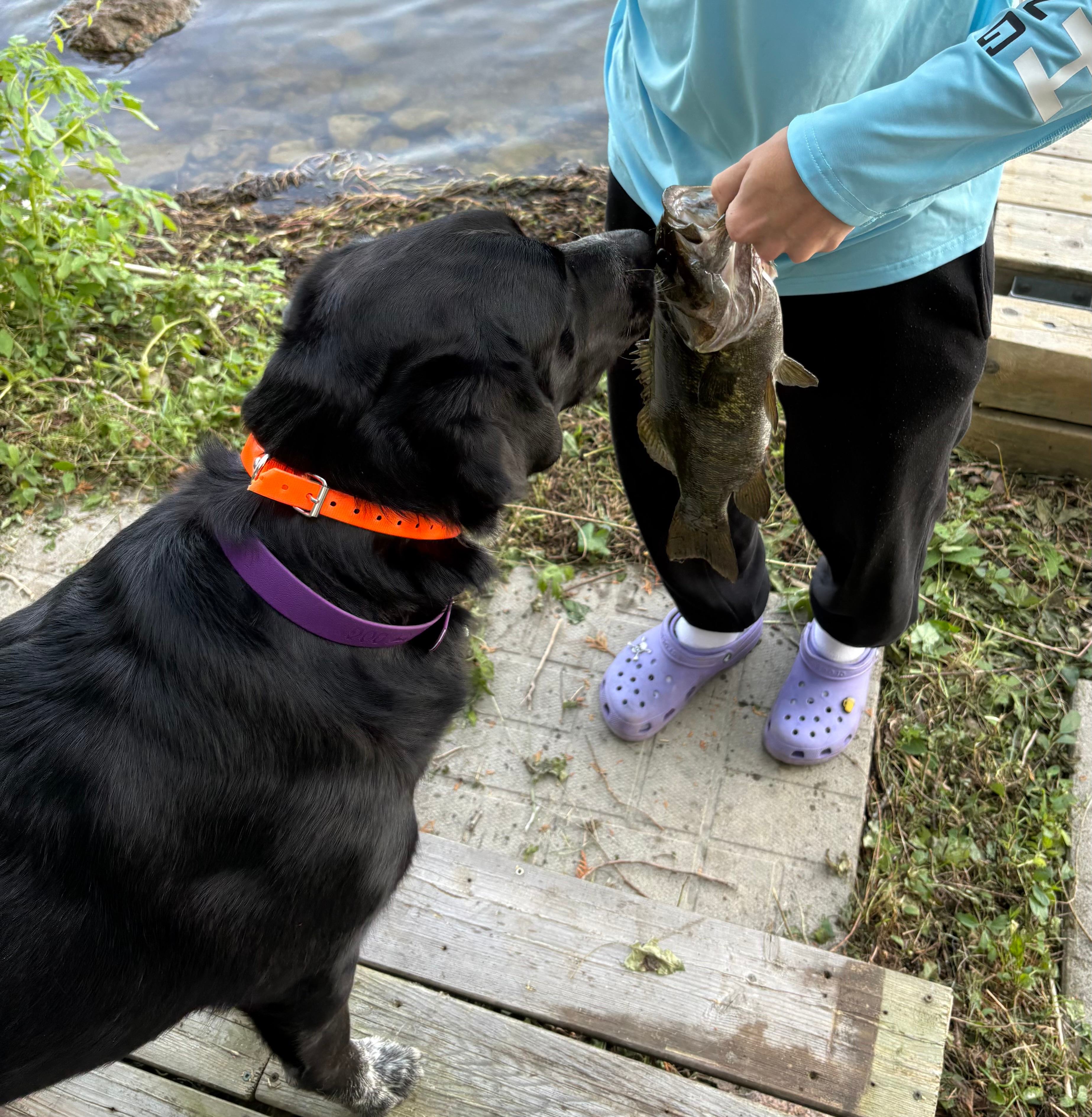Tranquil Glamping Getaway!
