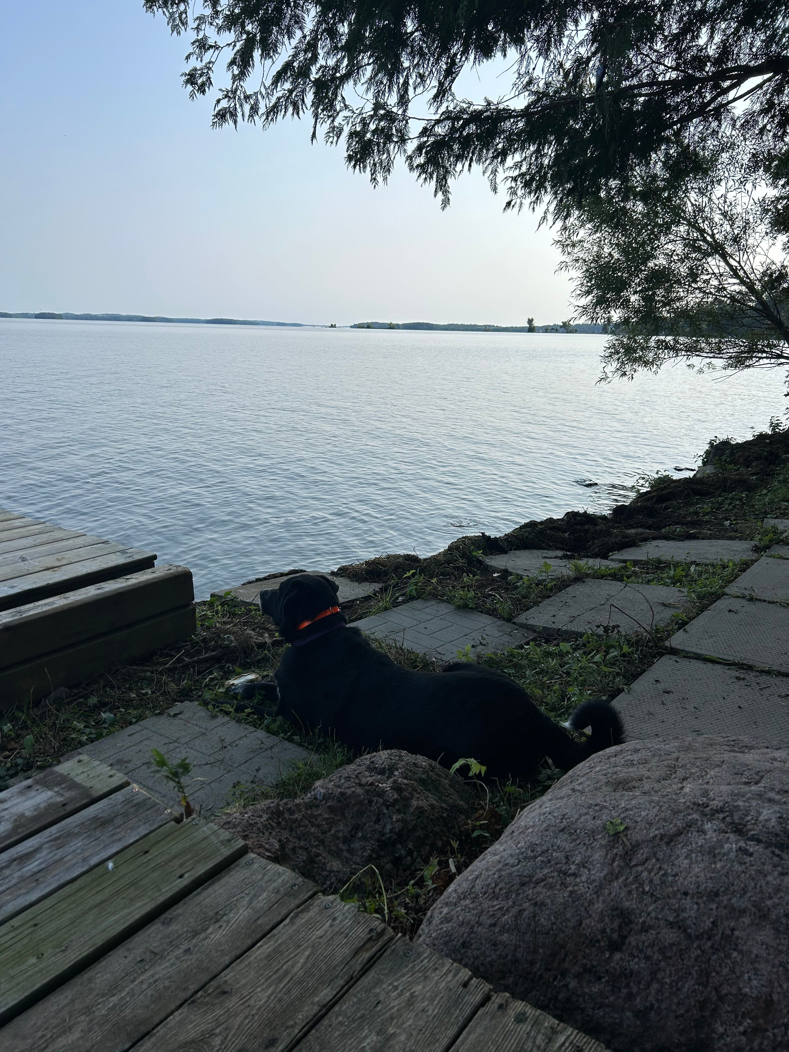 Tranquil Glamping Getaway!