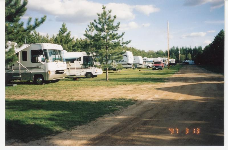Camping in the Pines