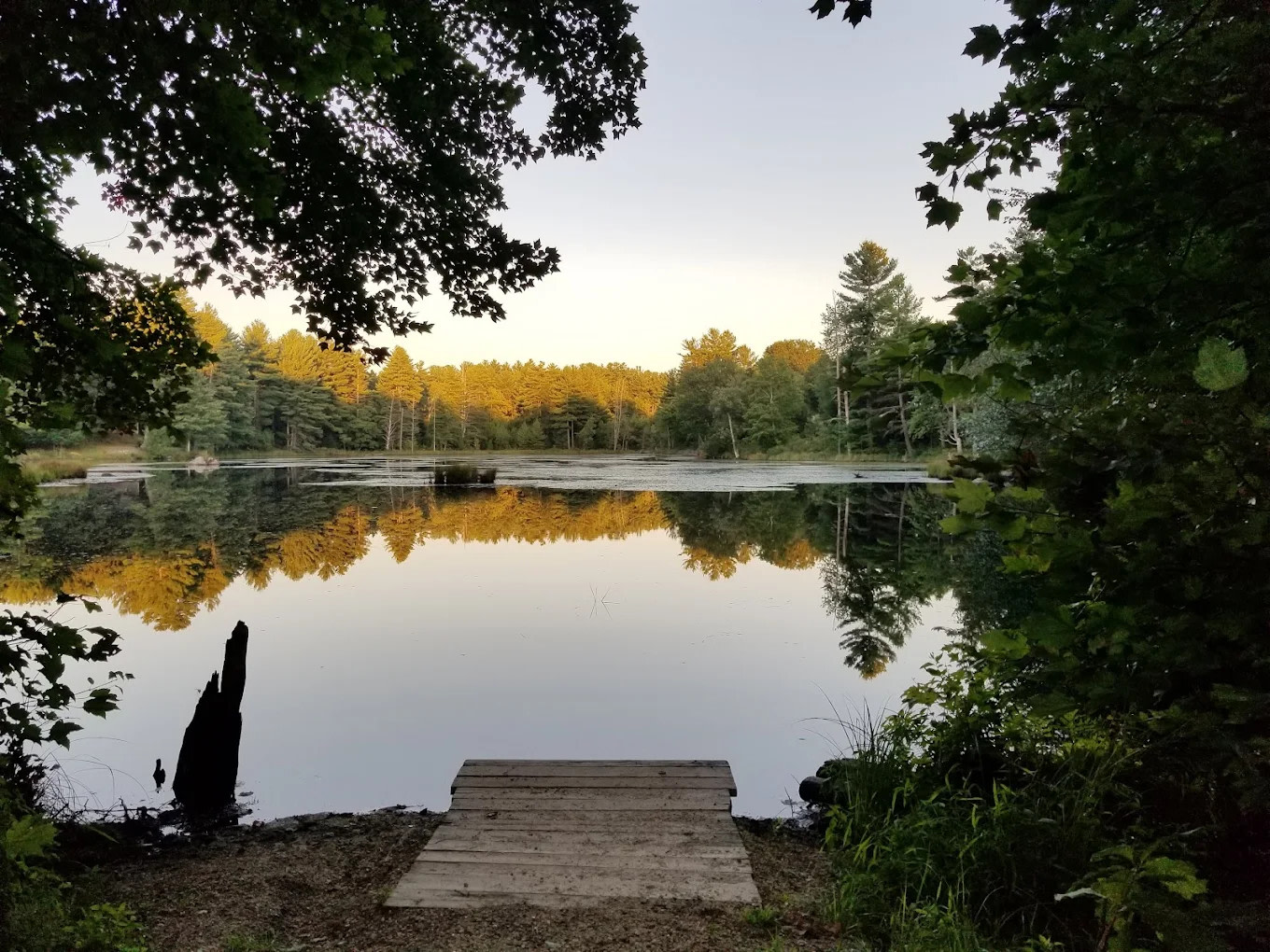 Calef Lake Campground