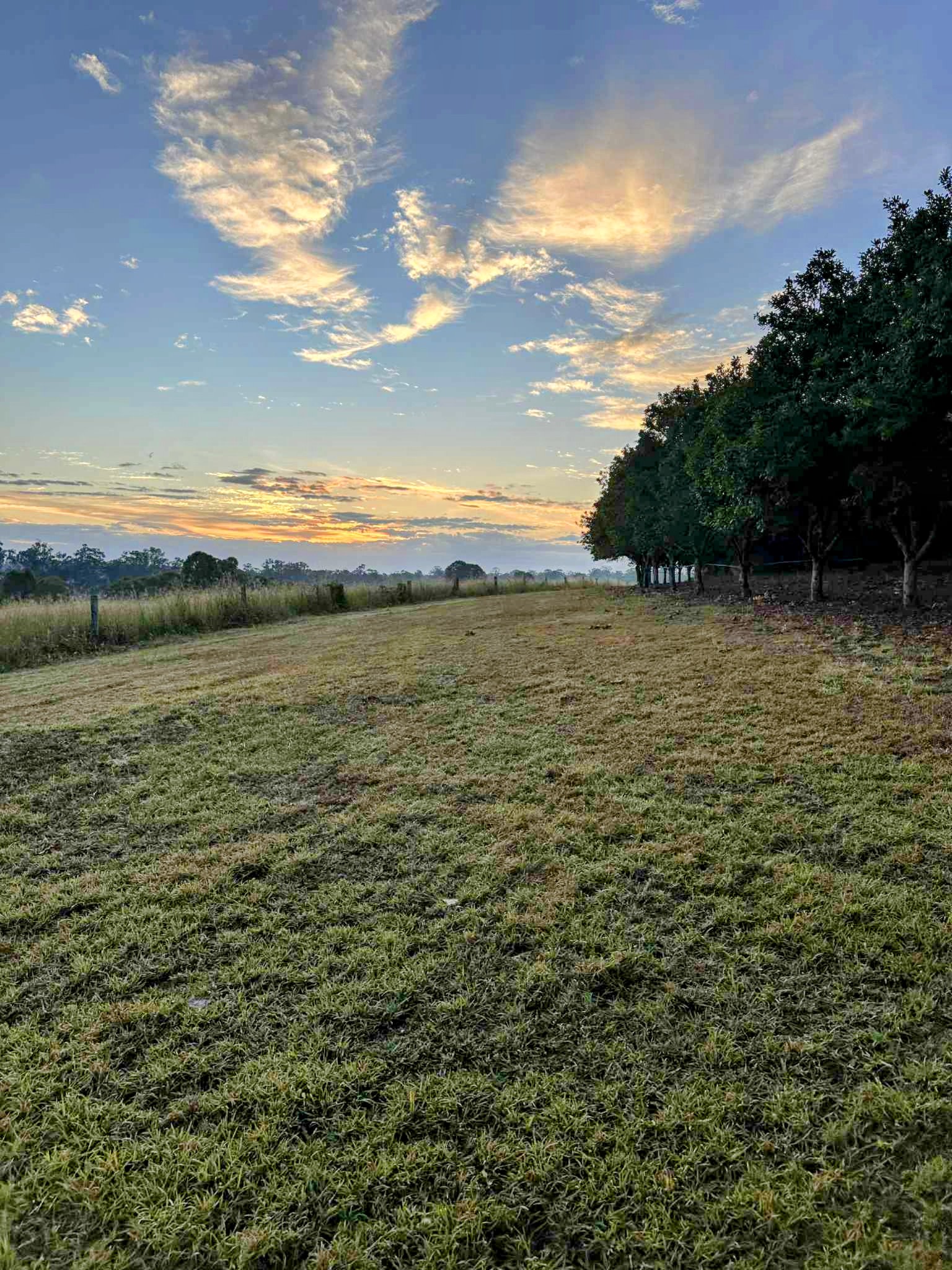 GlenEllen Farm