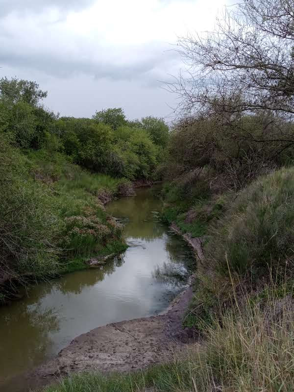 Bent Creek Wild