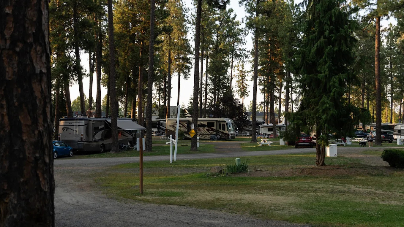 Ponderosa Falls Resort