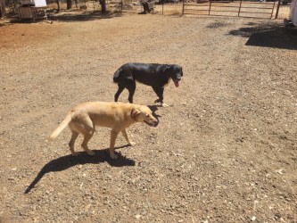 Stax & Summer’s Off-Grid Haven