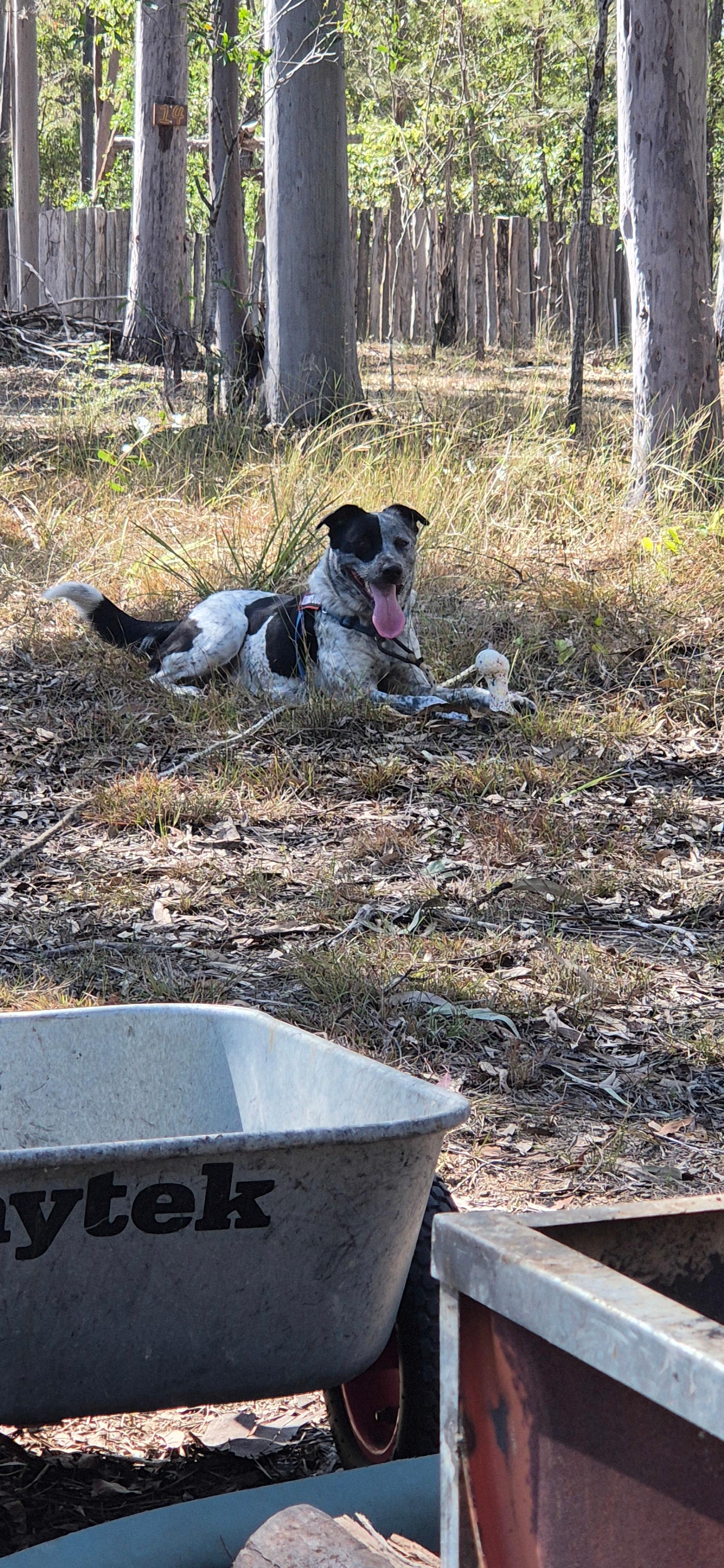 Circles In The Forest bush camp