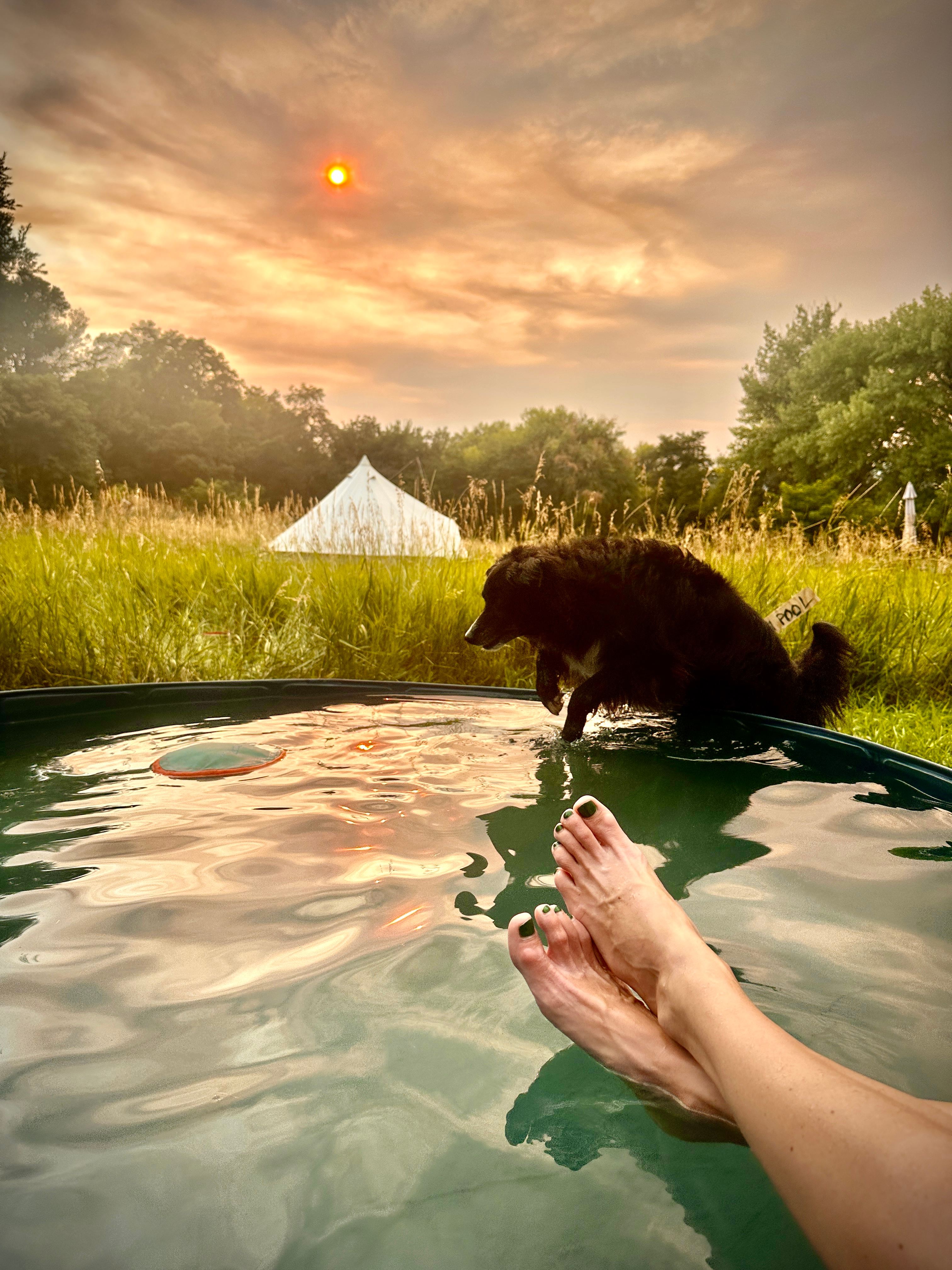 Smoke from a Wyoming wildfire colors the sun a particular shade of orange while Sir Frederic Bimmel jumps into the wading pool to retrieve his frisbee