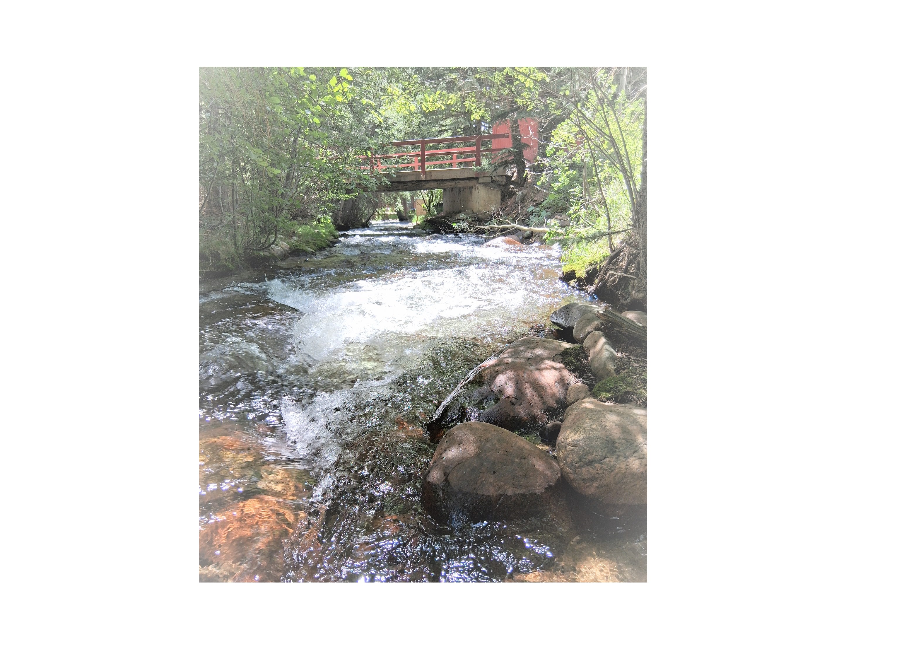 Riverfront Dream