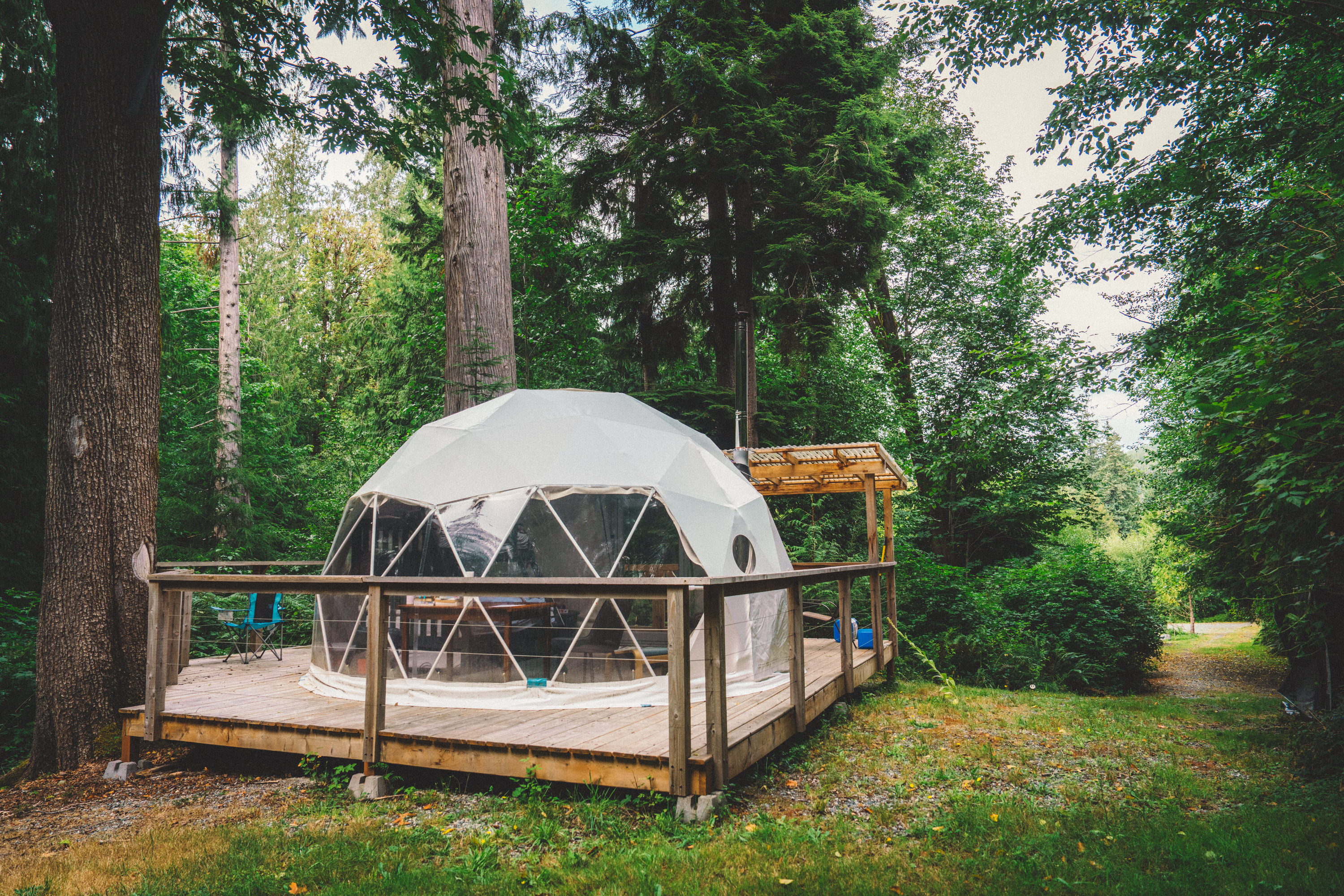 Old Growth Forest Moon Dome