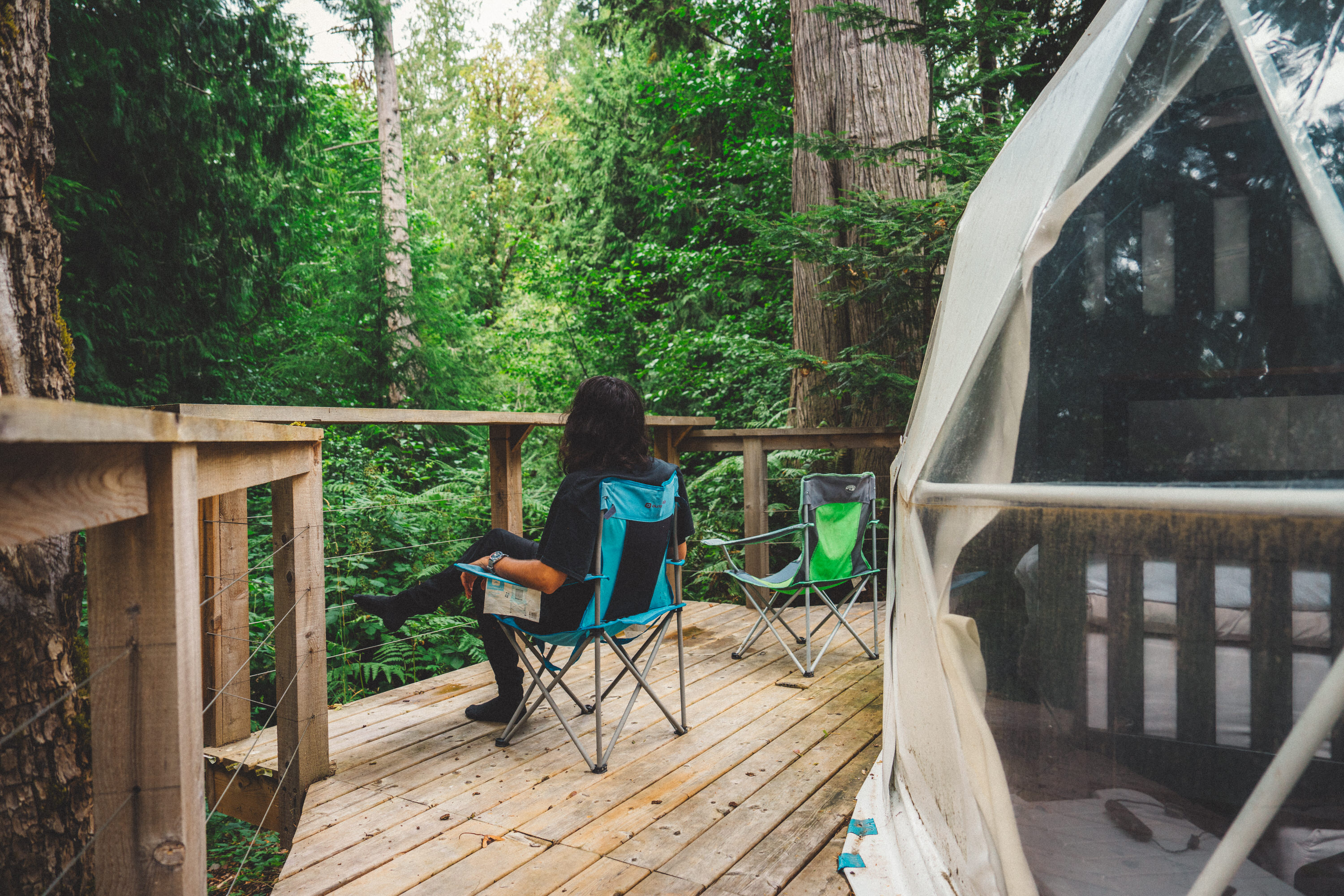 Old Growth Forest Moon Dome