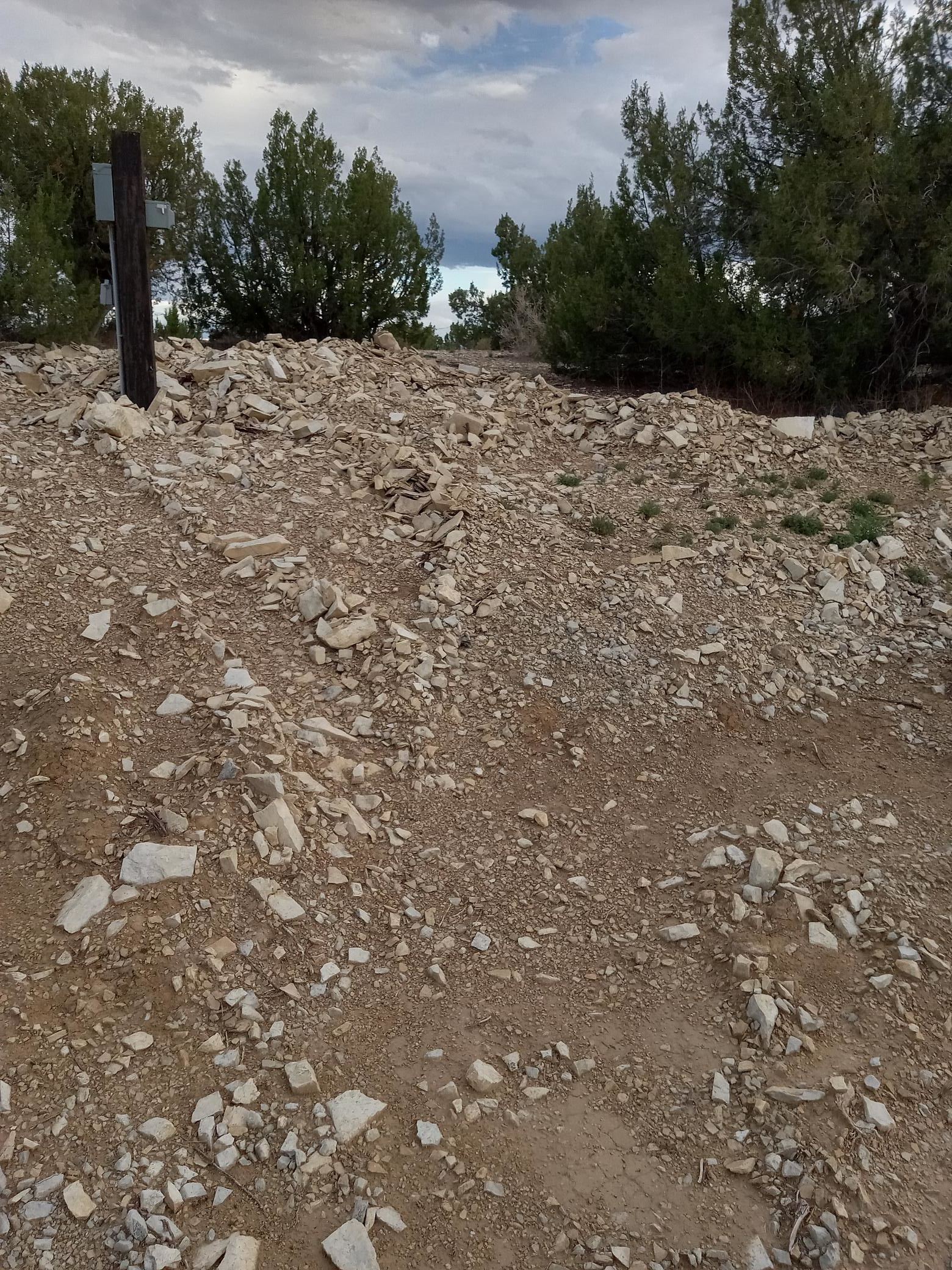 Rocky Mountain Stargazer