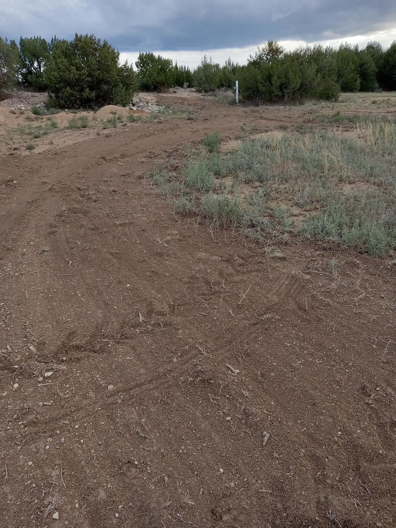 Rocky Mountain Stargazer