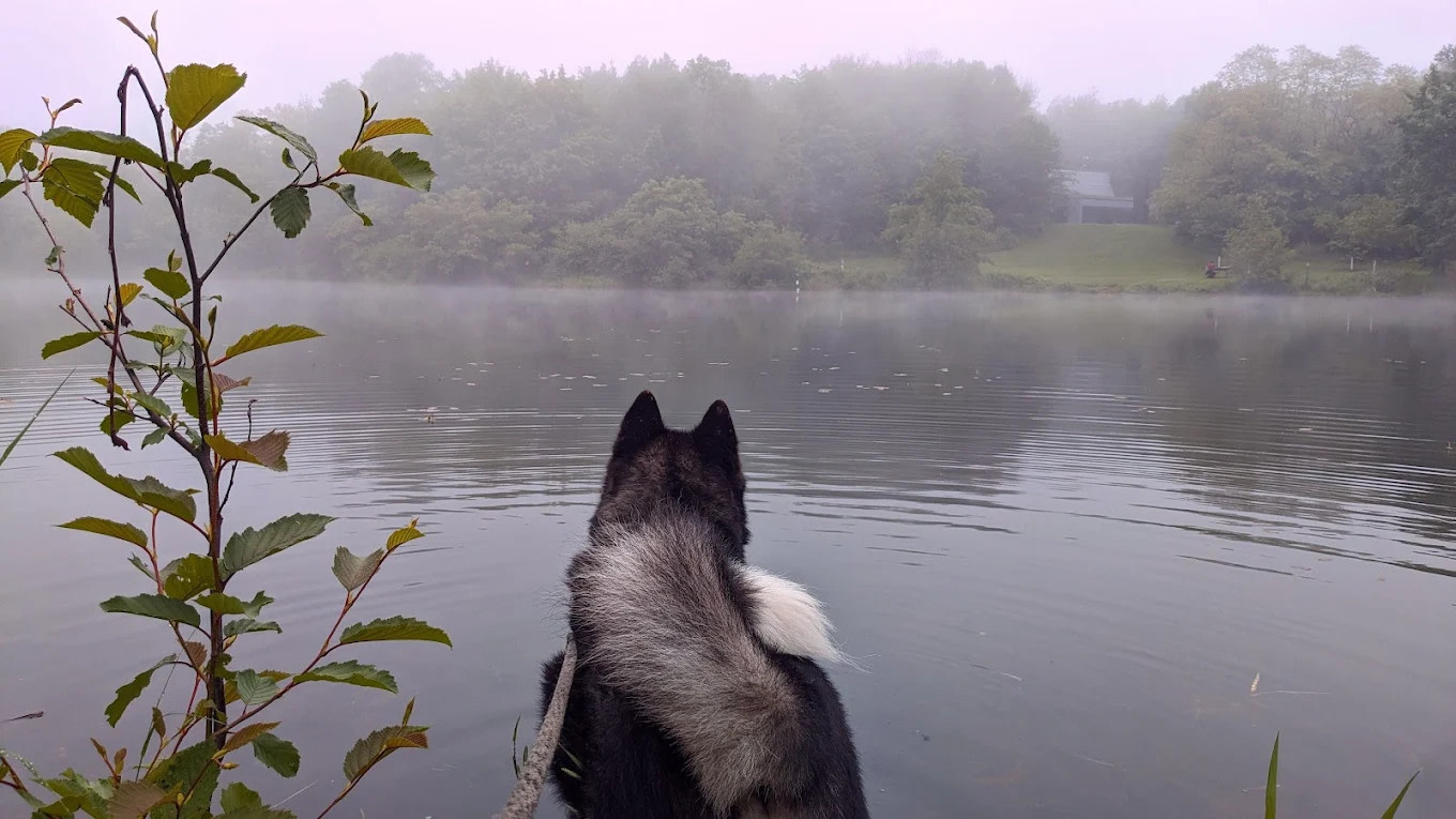 Riviera Resort and Campground