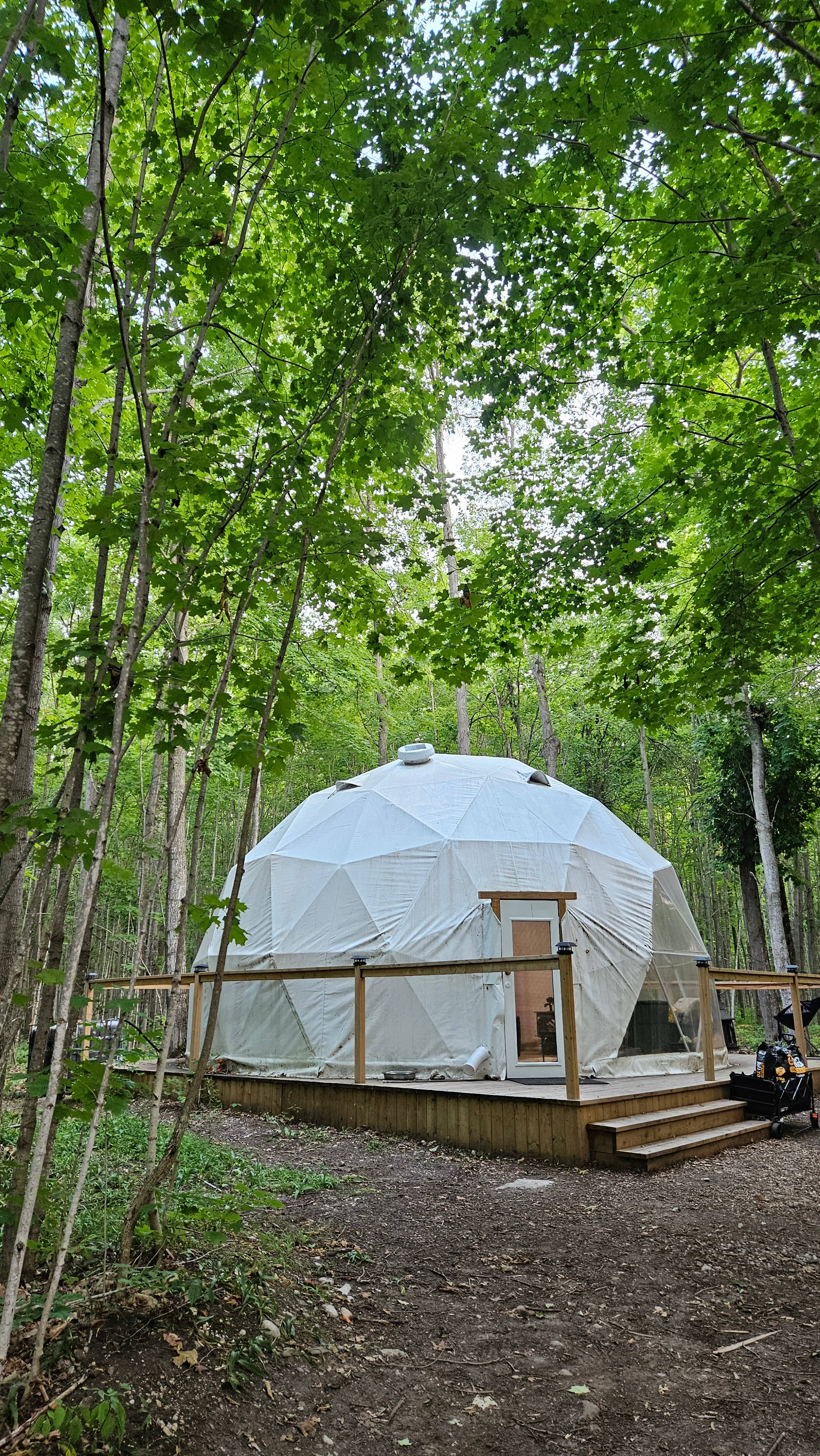 Forest Stargazing Glamping Dome