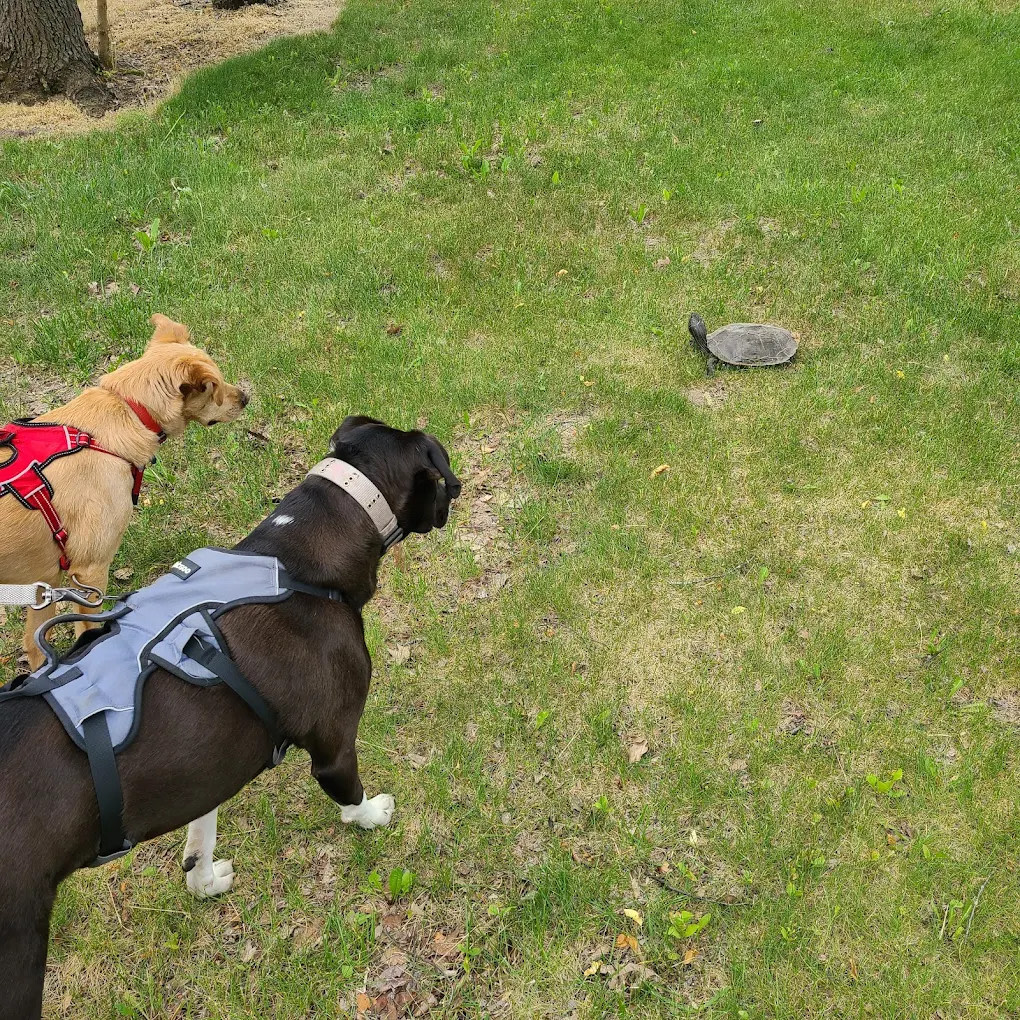 Kilby Lake Campground