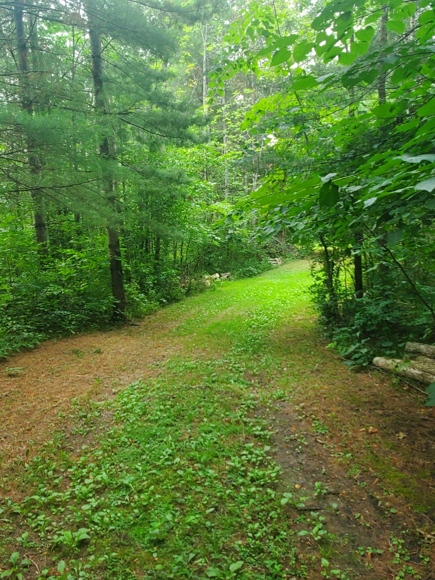 Short left trail to site