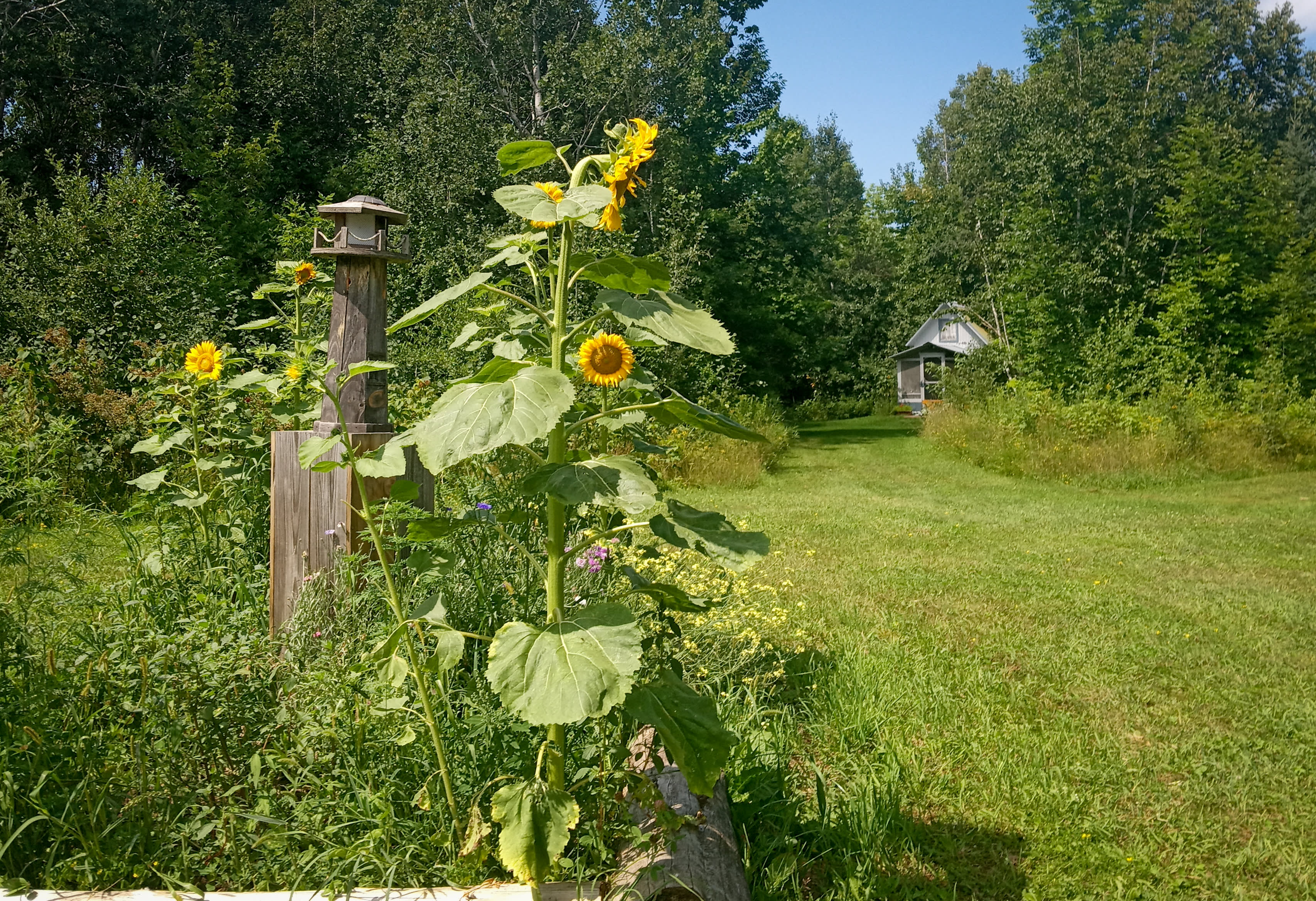 'Old World' Farm By Lake Superior