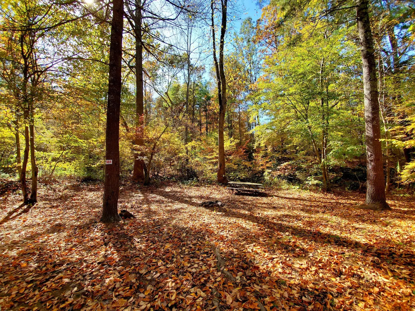 Swift Run Campground