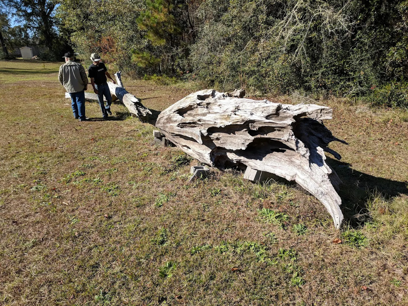 Wewa RV Park And Trading Post