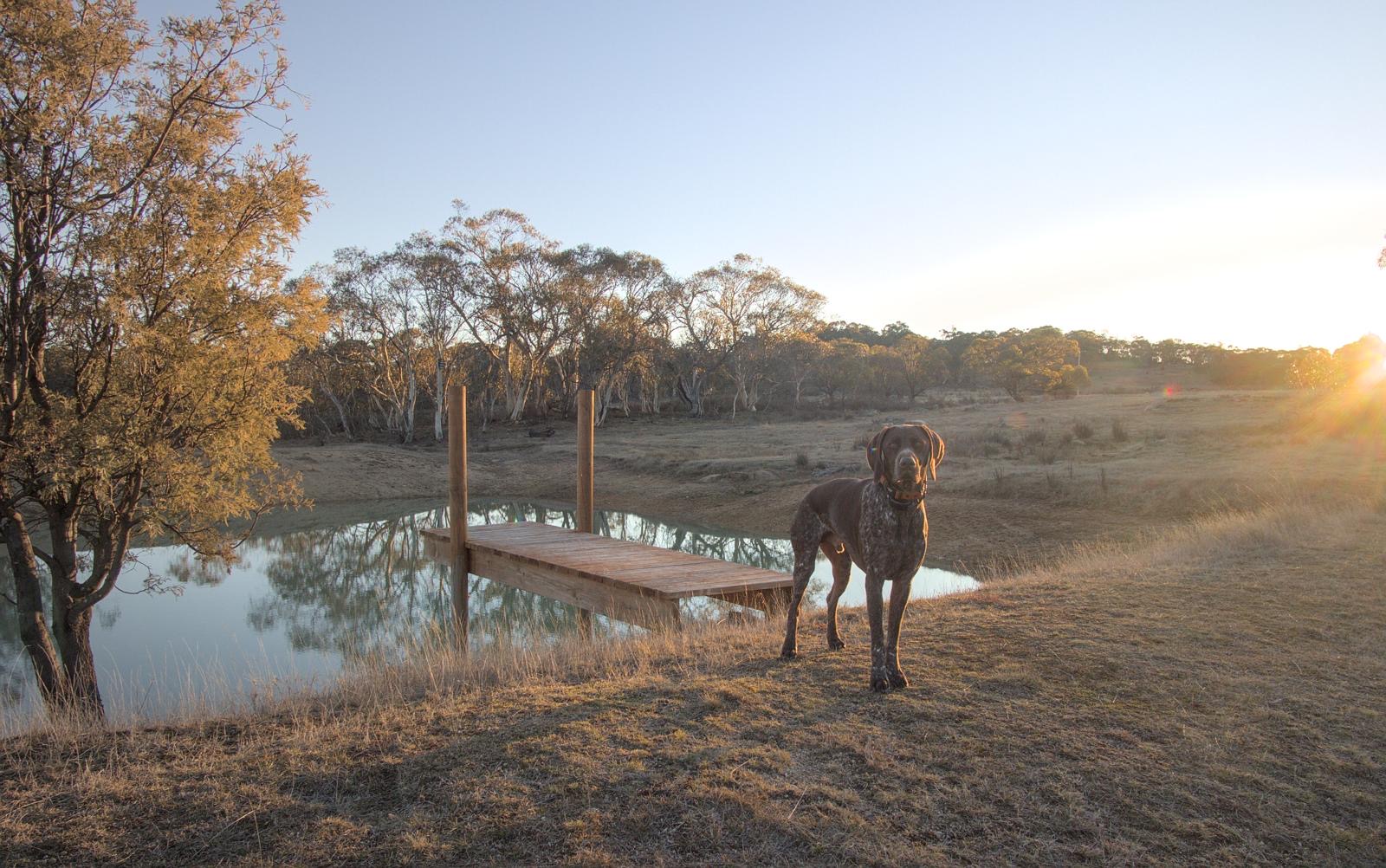 High Country Camping