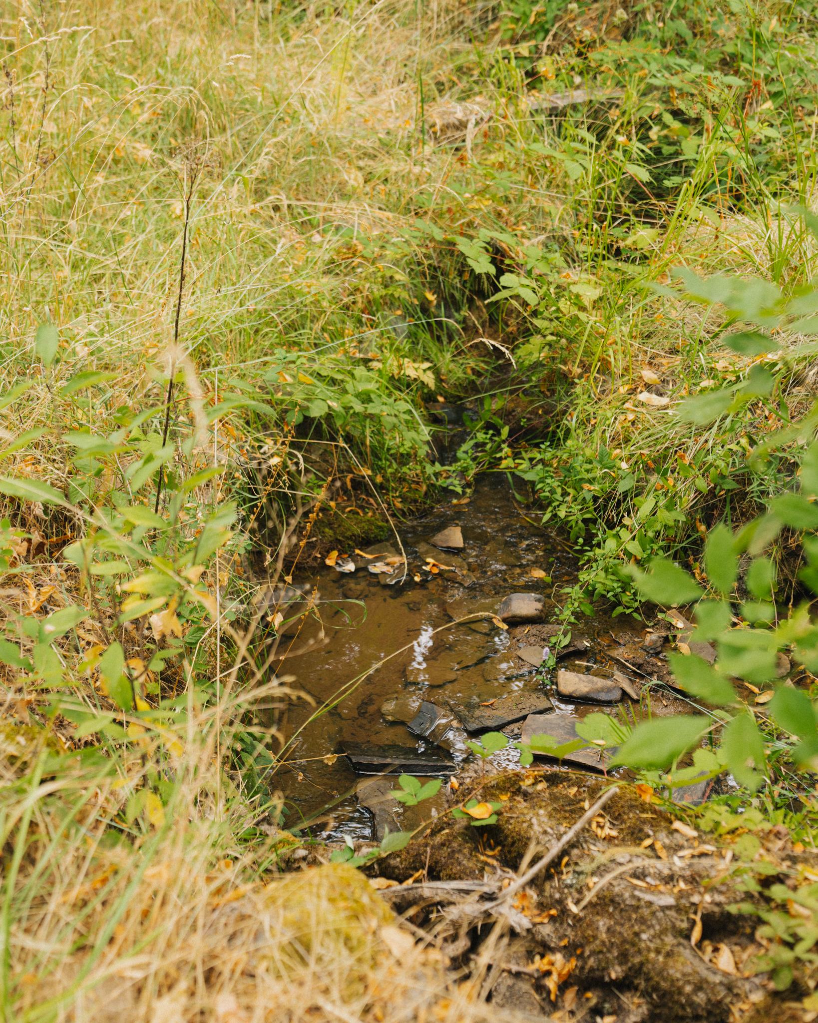 Creek