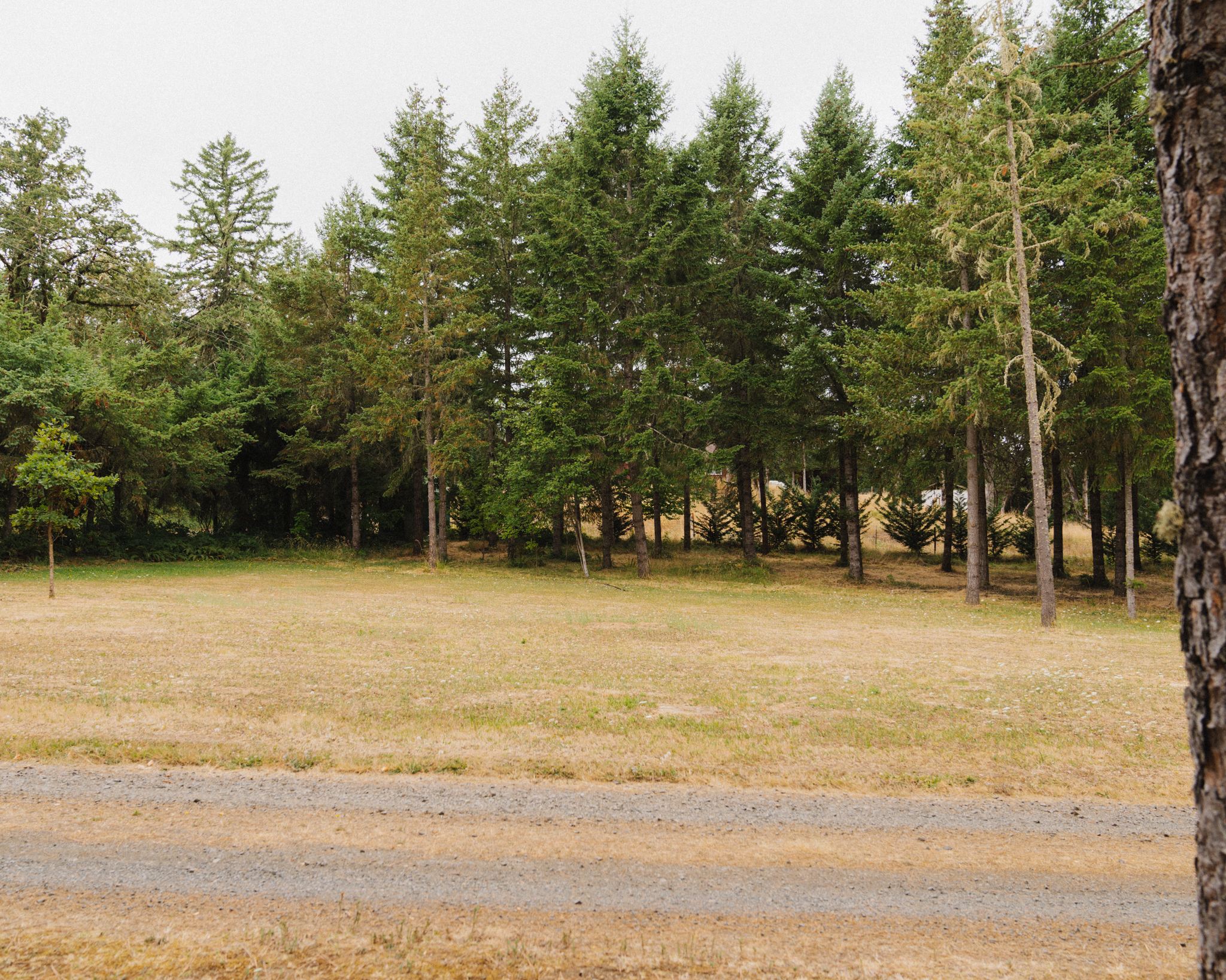 Land for one of the other sites listed (tent site)