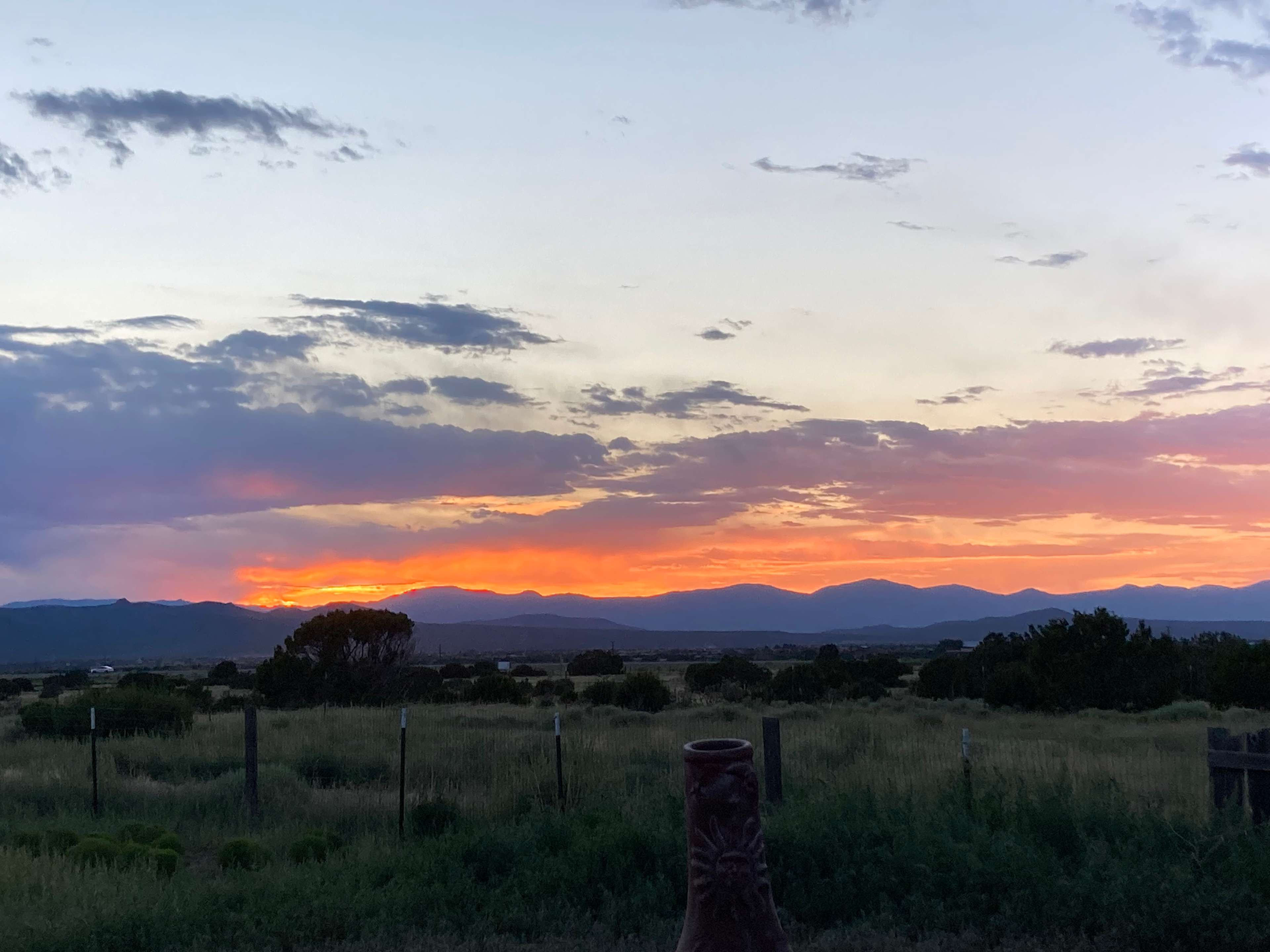 The Enchanted Llama Ranch