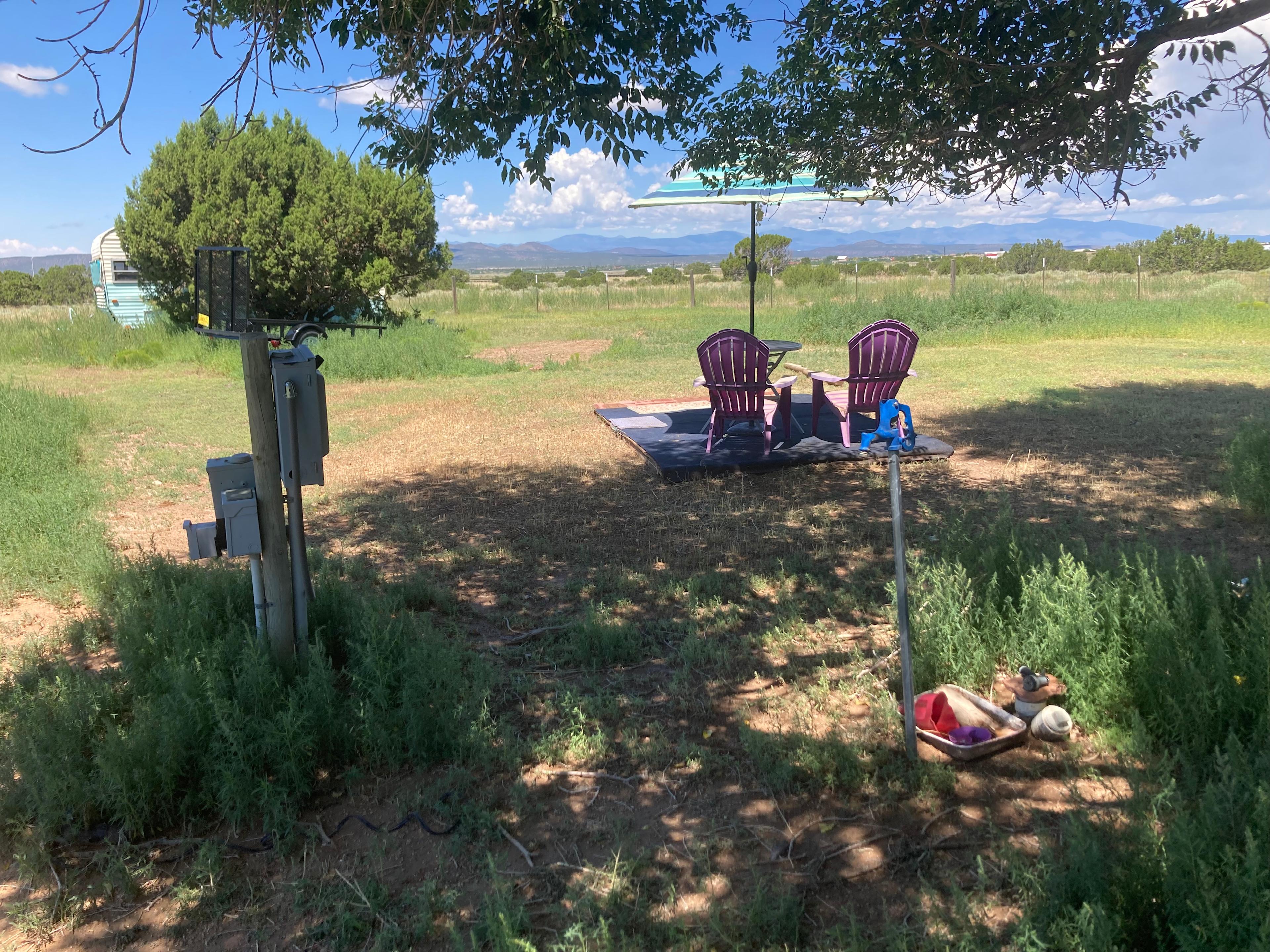The Enchanted Llama Ranch