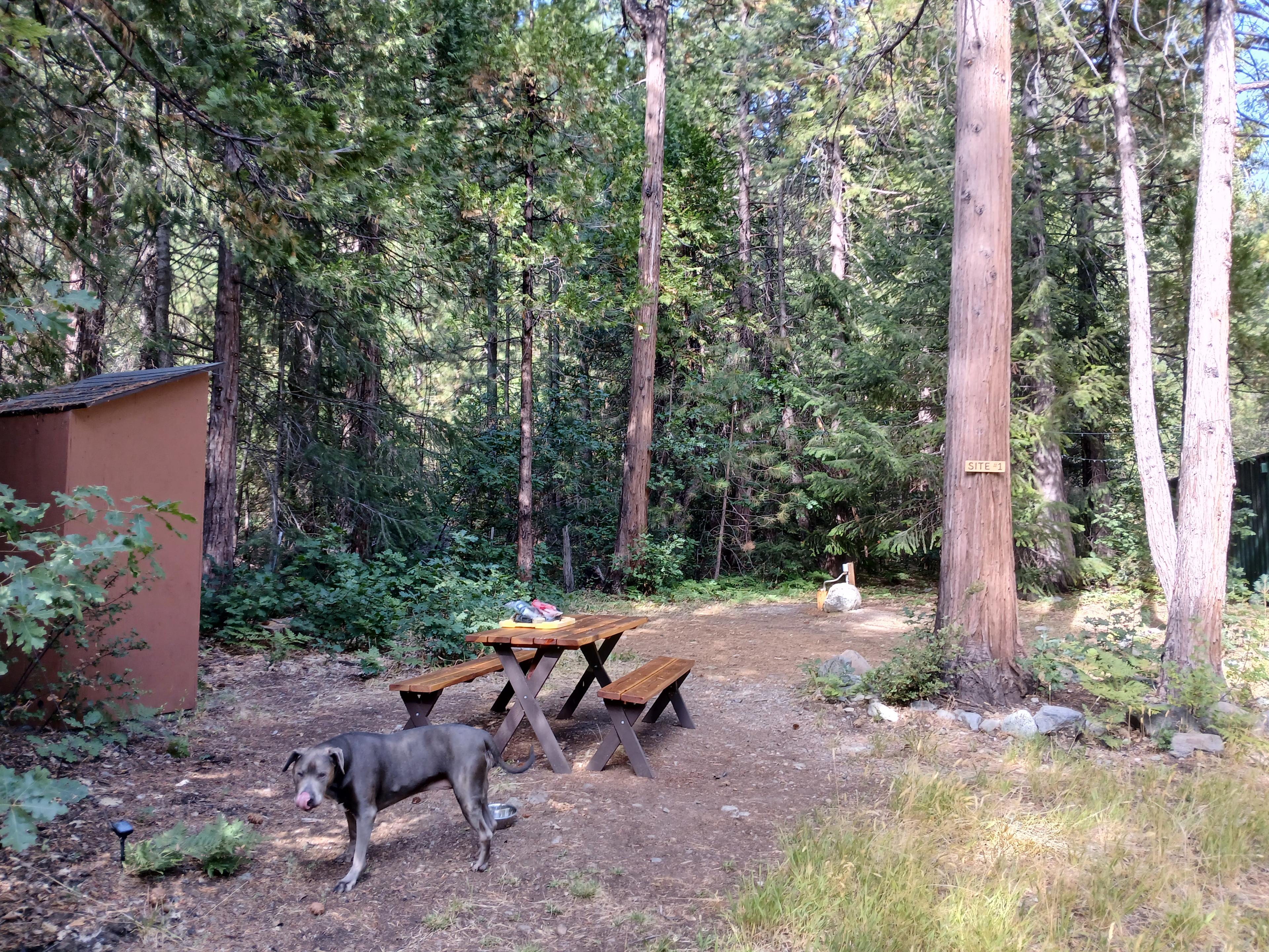 Bright Bear Camp in Tahoe NF