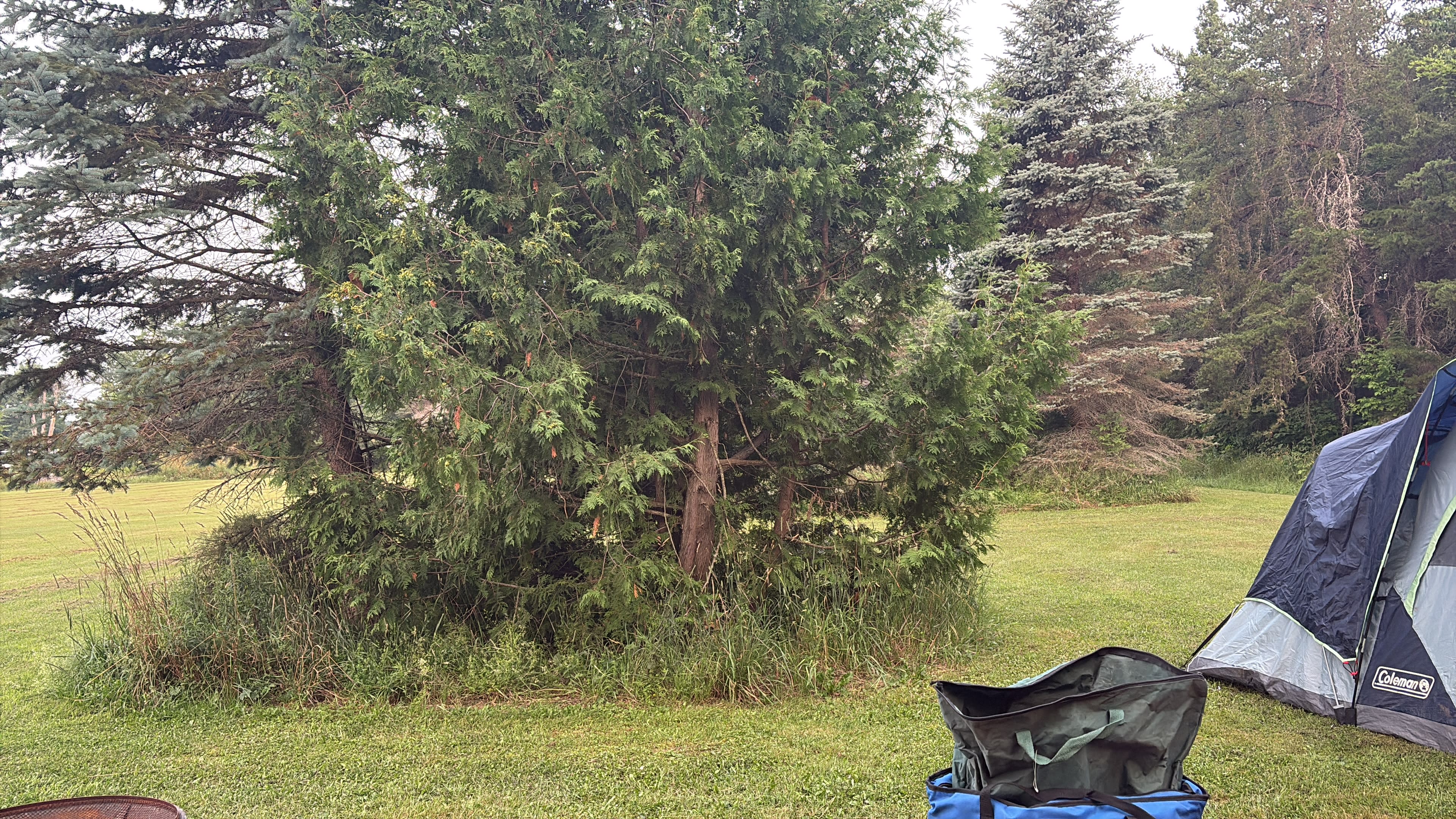 Panorama Camp