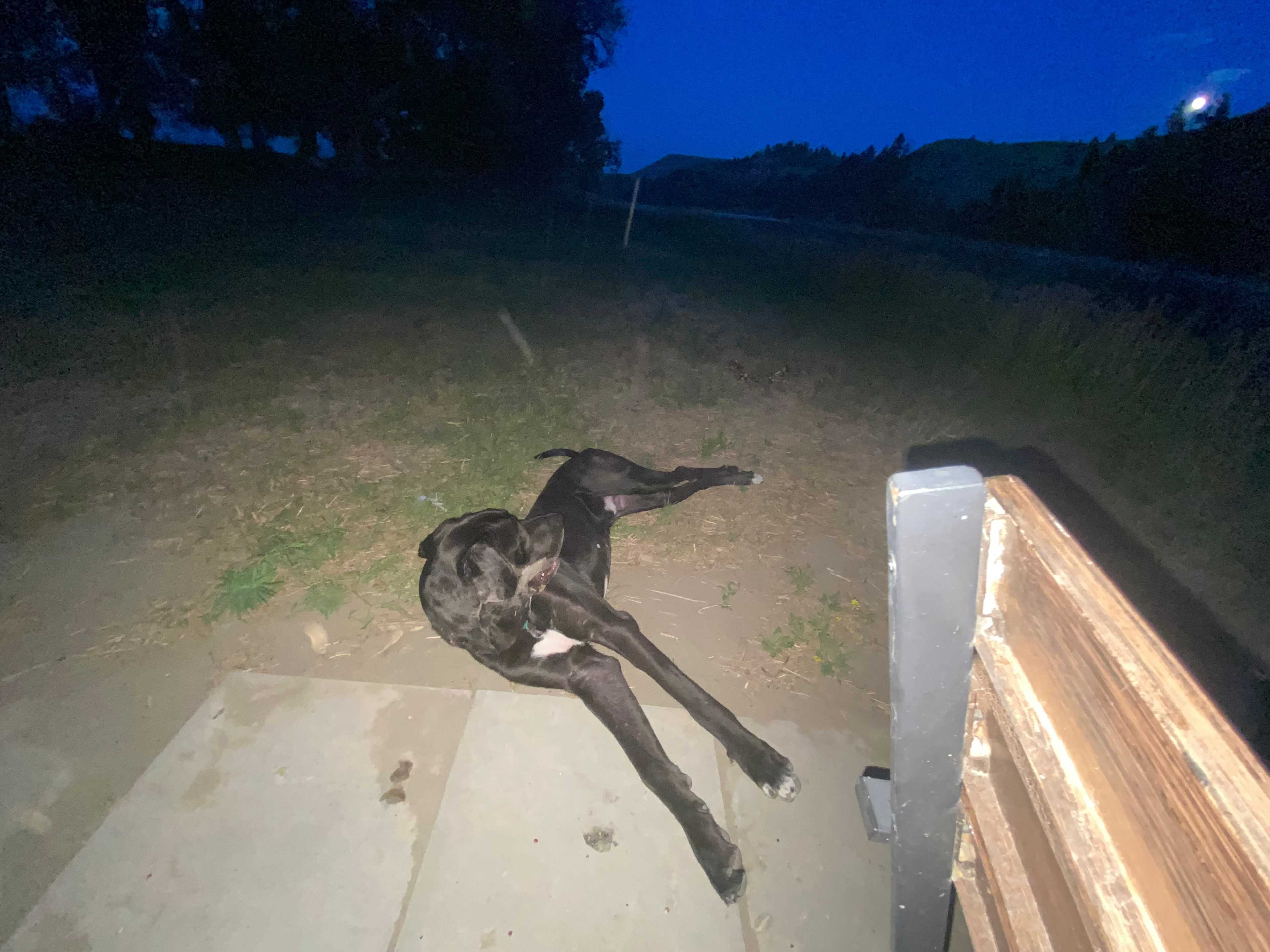 Fire pit right next to the river