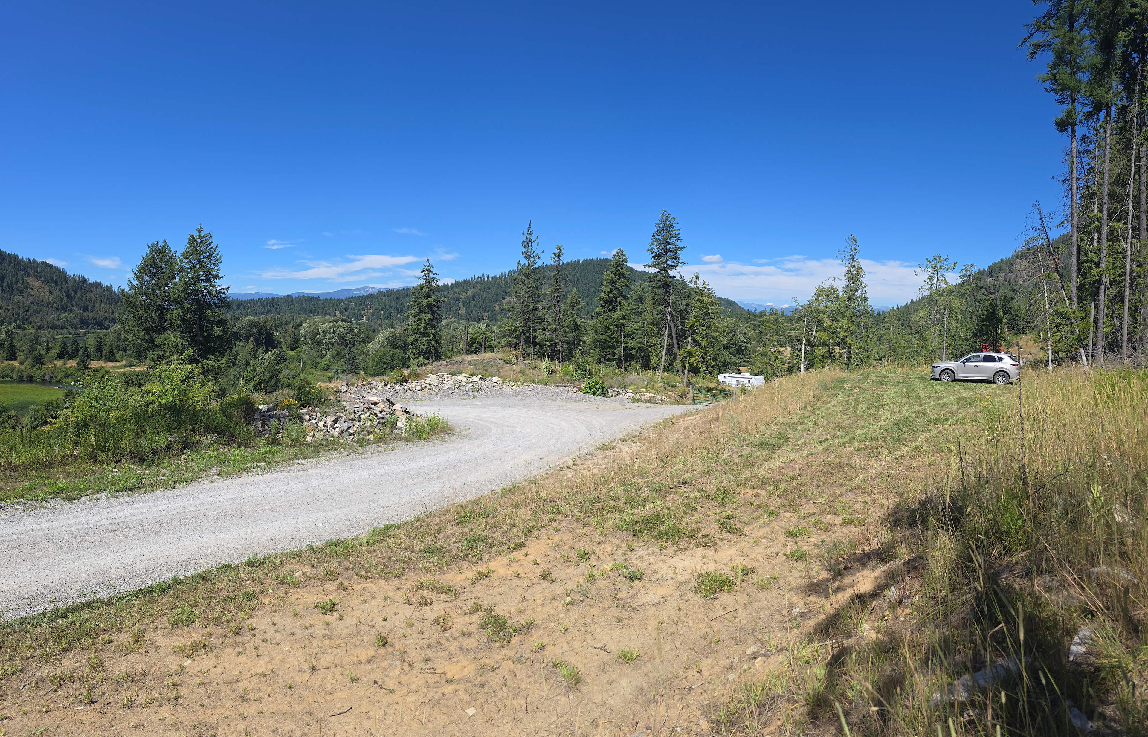 Birch Forest Farm