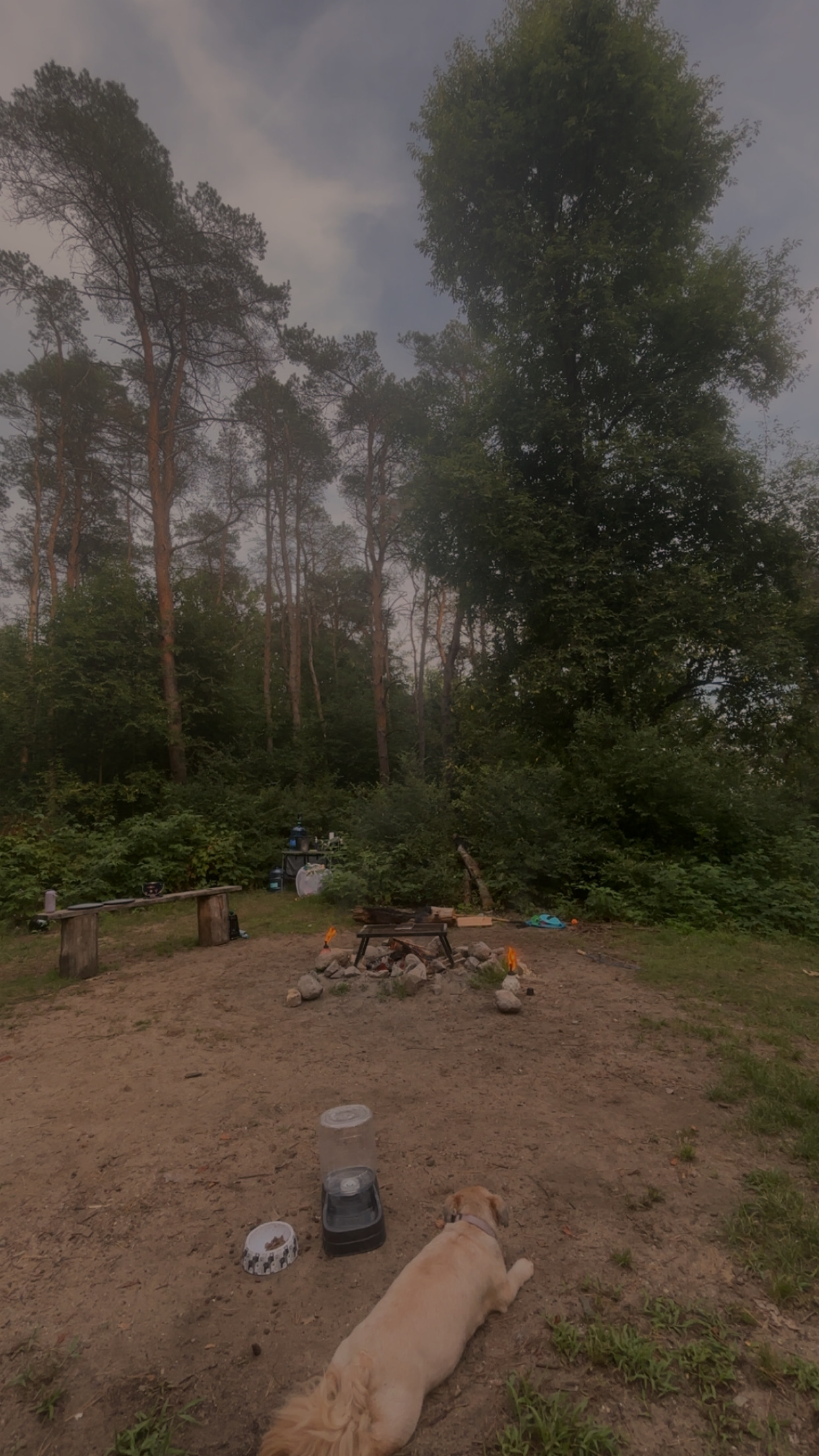 Pine Creek⛺️💫Private Hilltop Camp