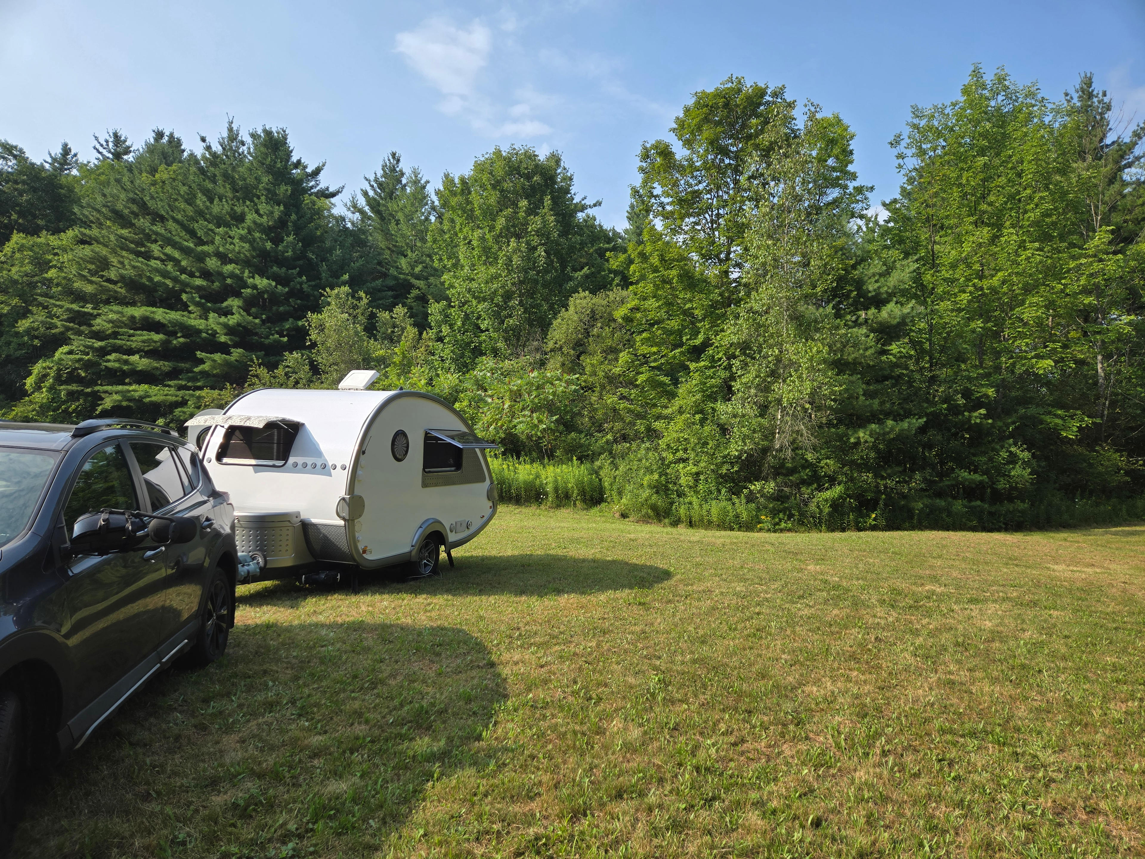 The camping field- totally tree lined. 