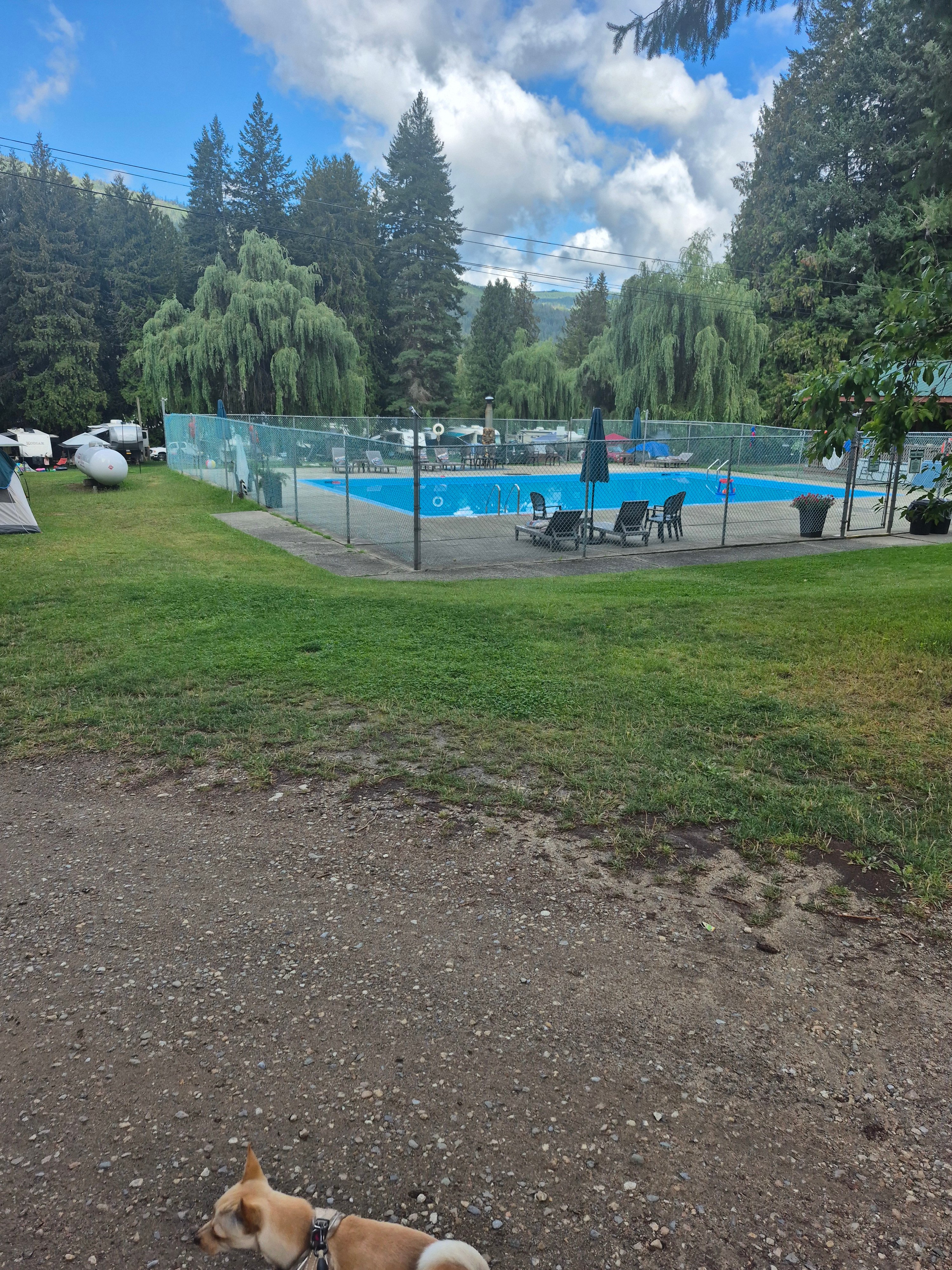 Whispering Pines near Mara Lake