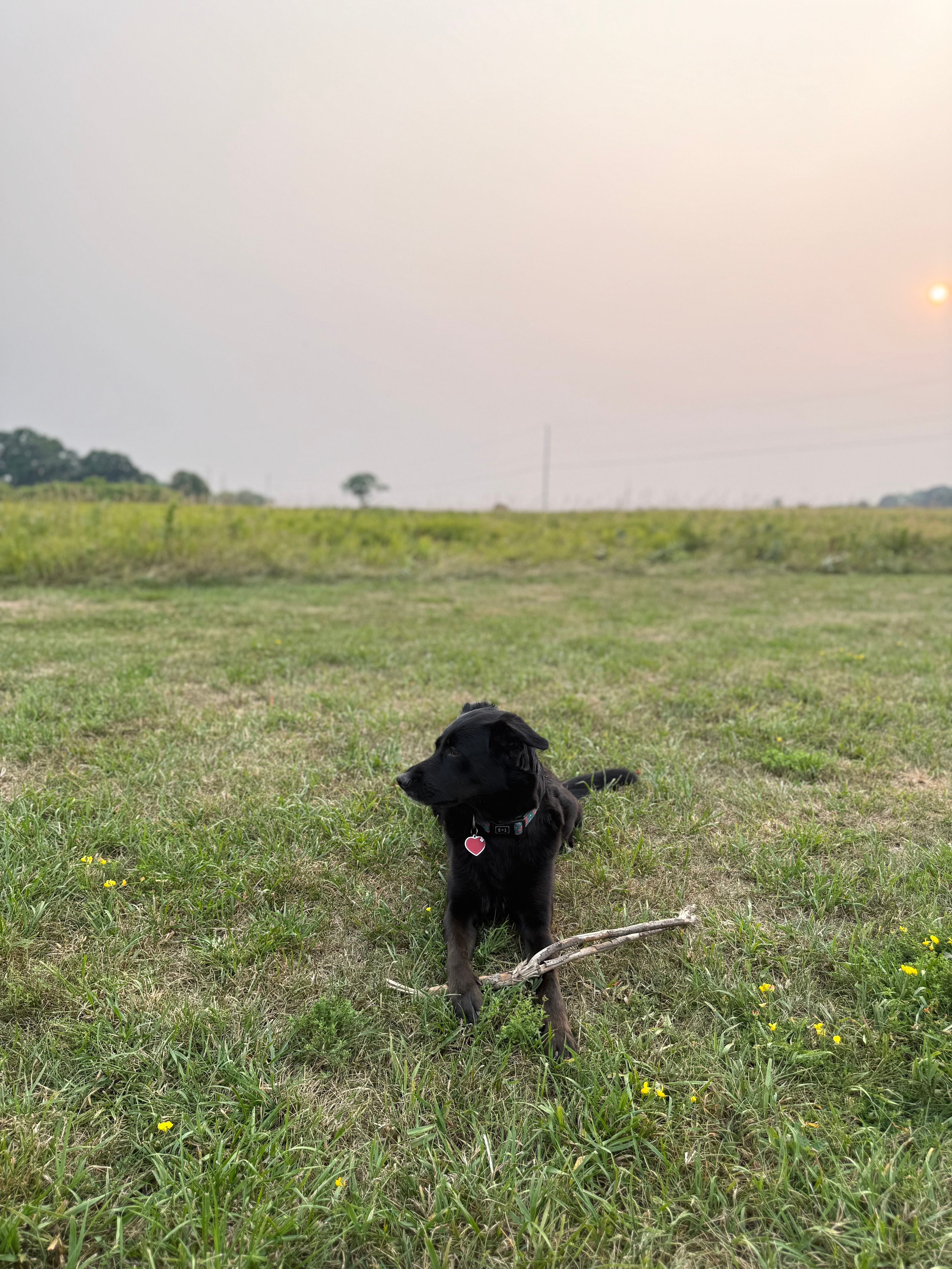 Our dog Twyla was in heaven too!