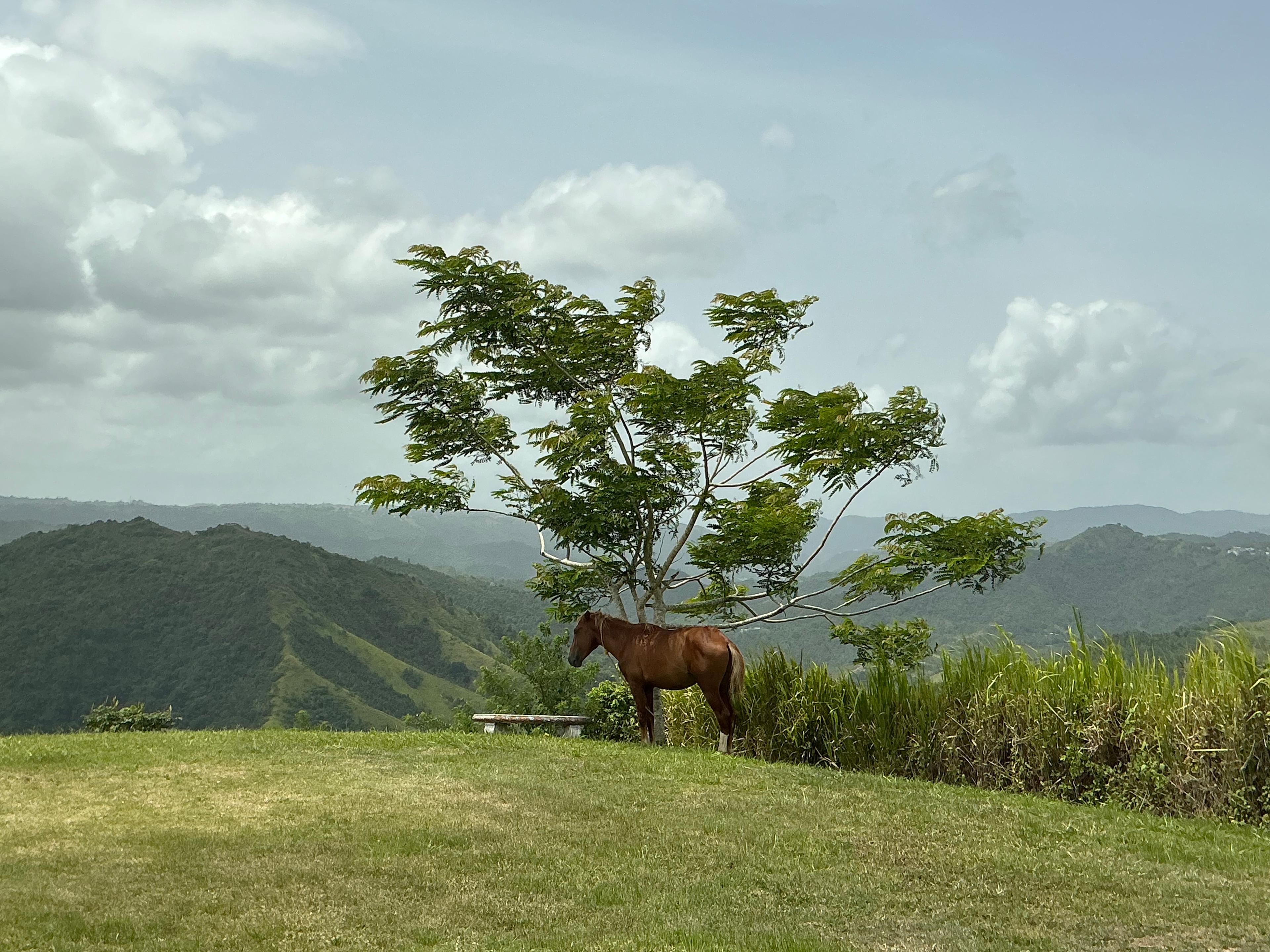 Hacienda 360