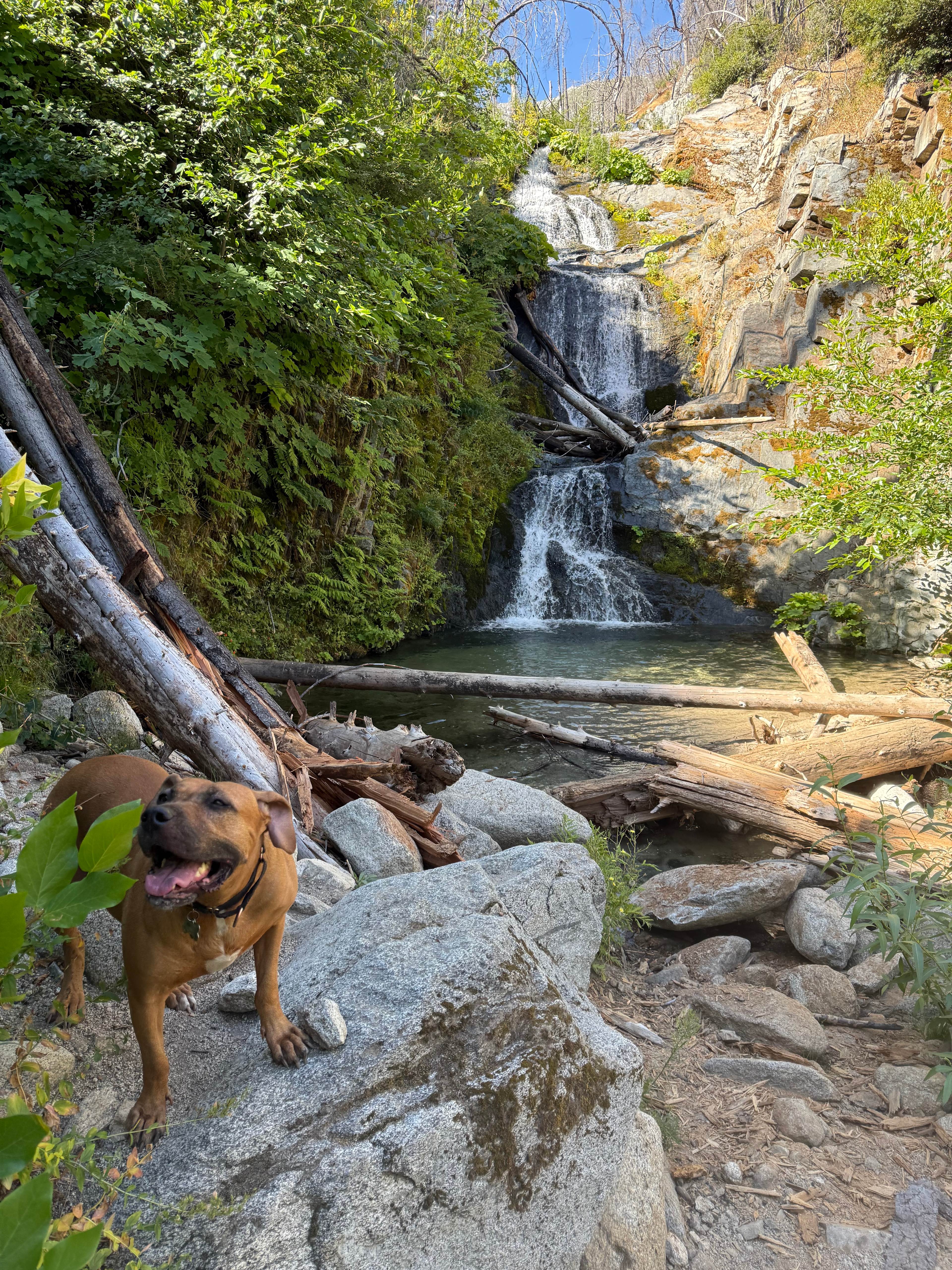 Boulder creek falls