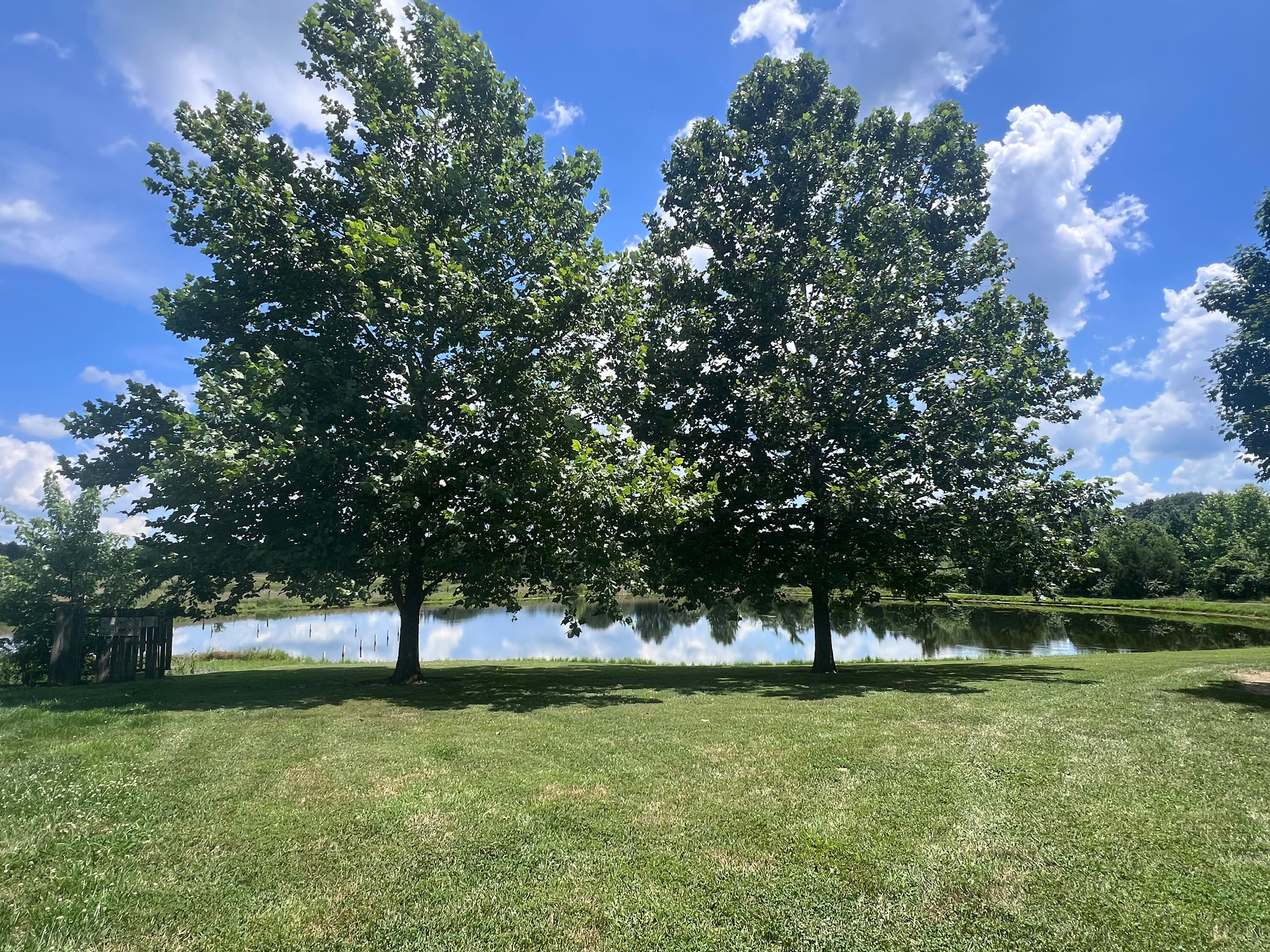 Little Lusk Campground And Lodging