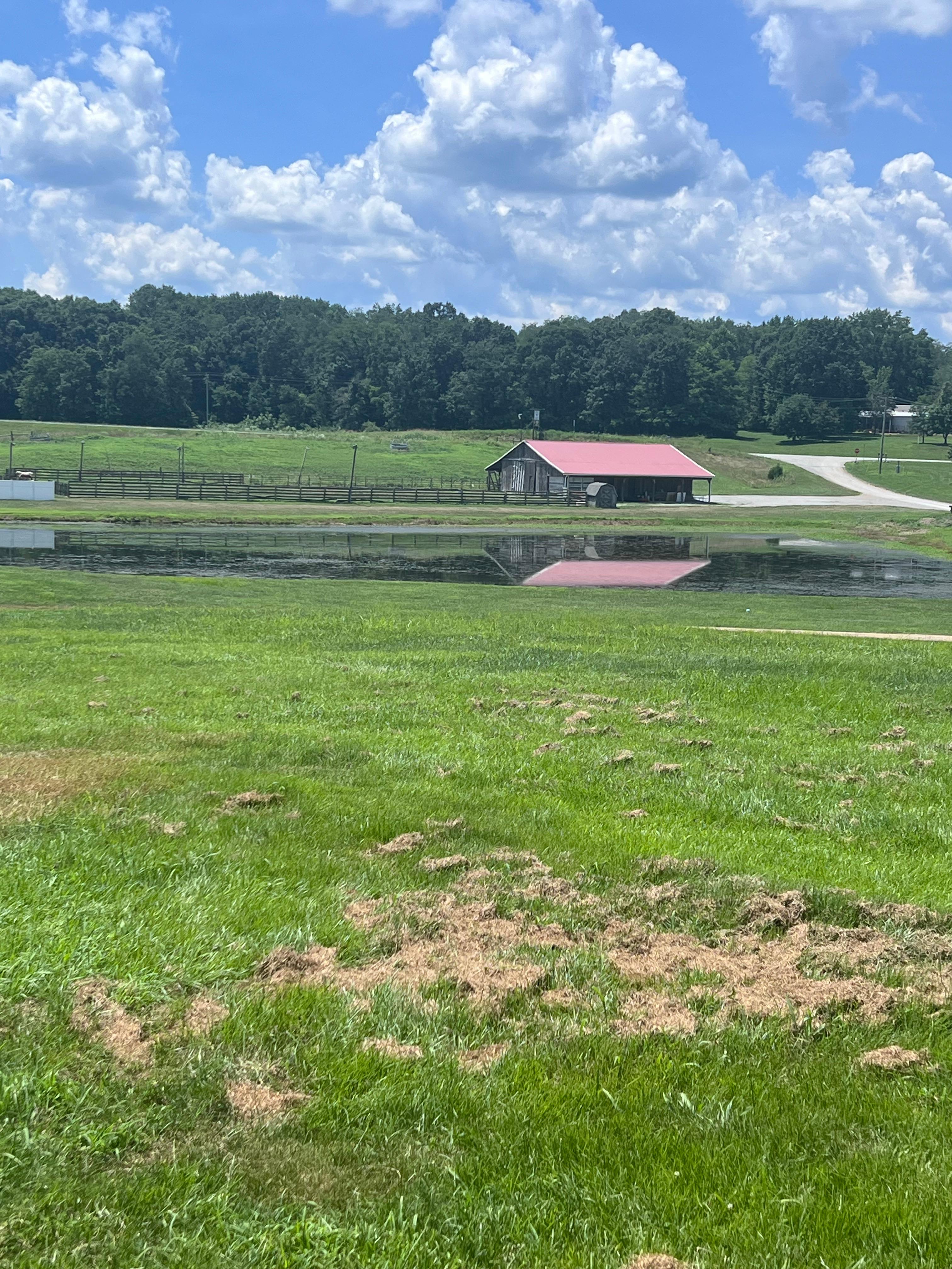 Little Lusk Campground And Lodging